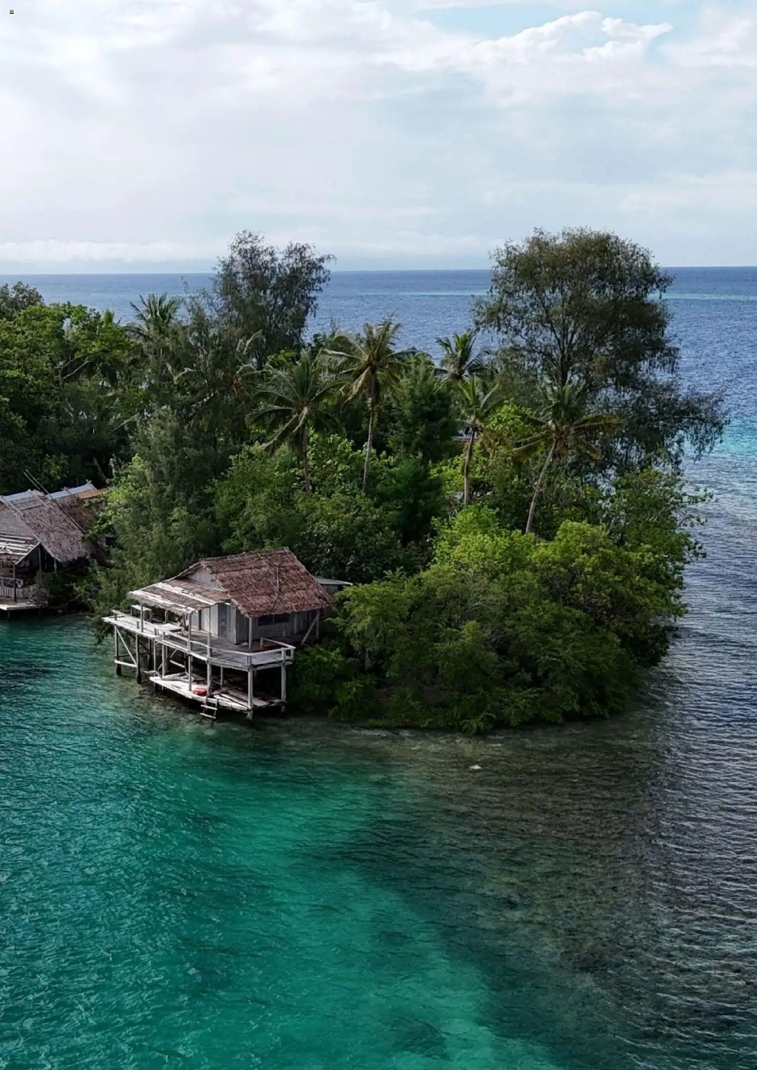 Hofer Reisen prospekt seit 01.01.2026 Flugblatt