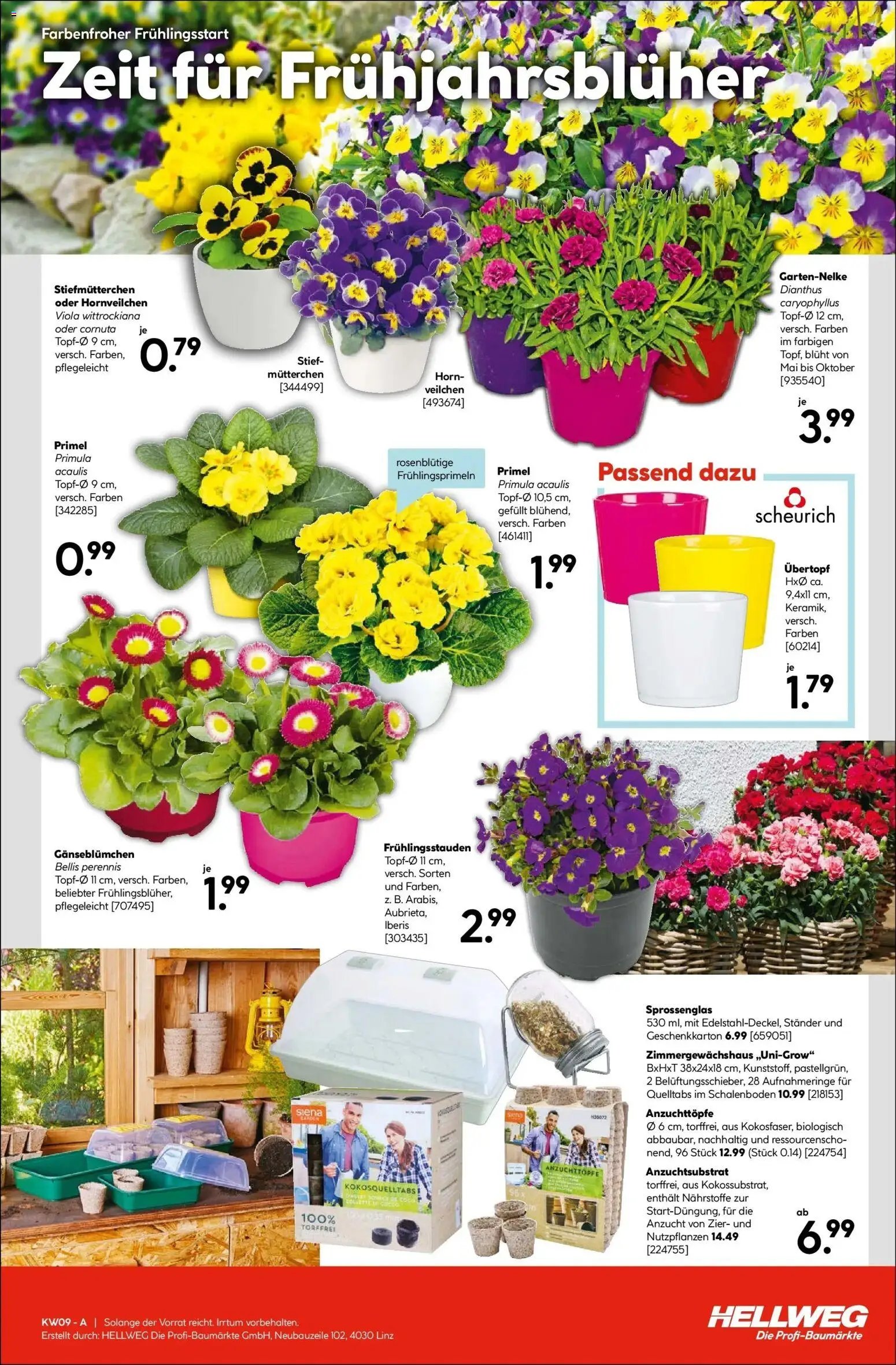 HELLWEG prospekt seit 26.02.2026 Steindorf / Straßwalchen