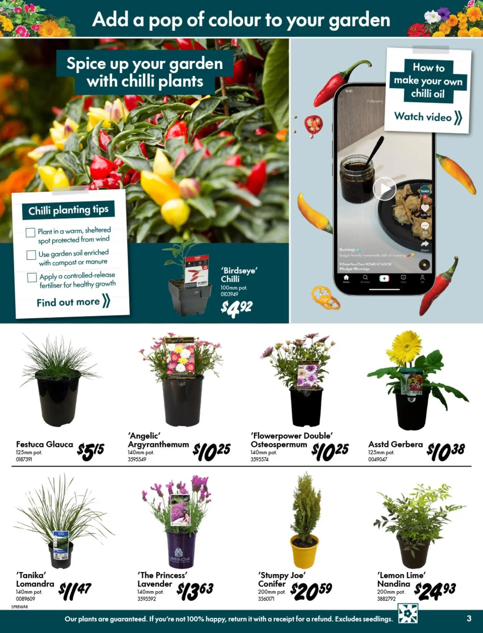 Bunnings Warehouse catalogue from 09/09/2026 Bunnings catalogue