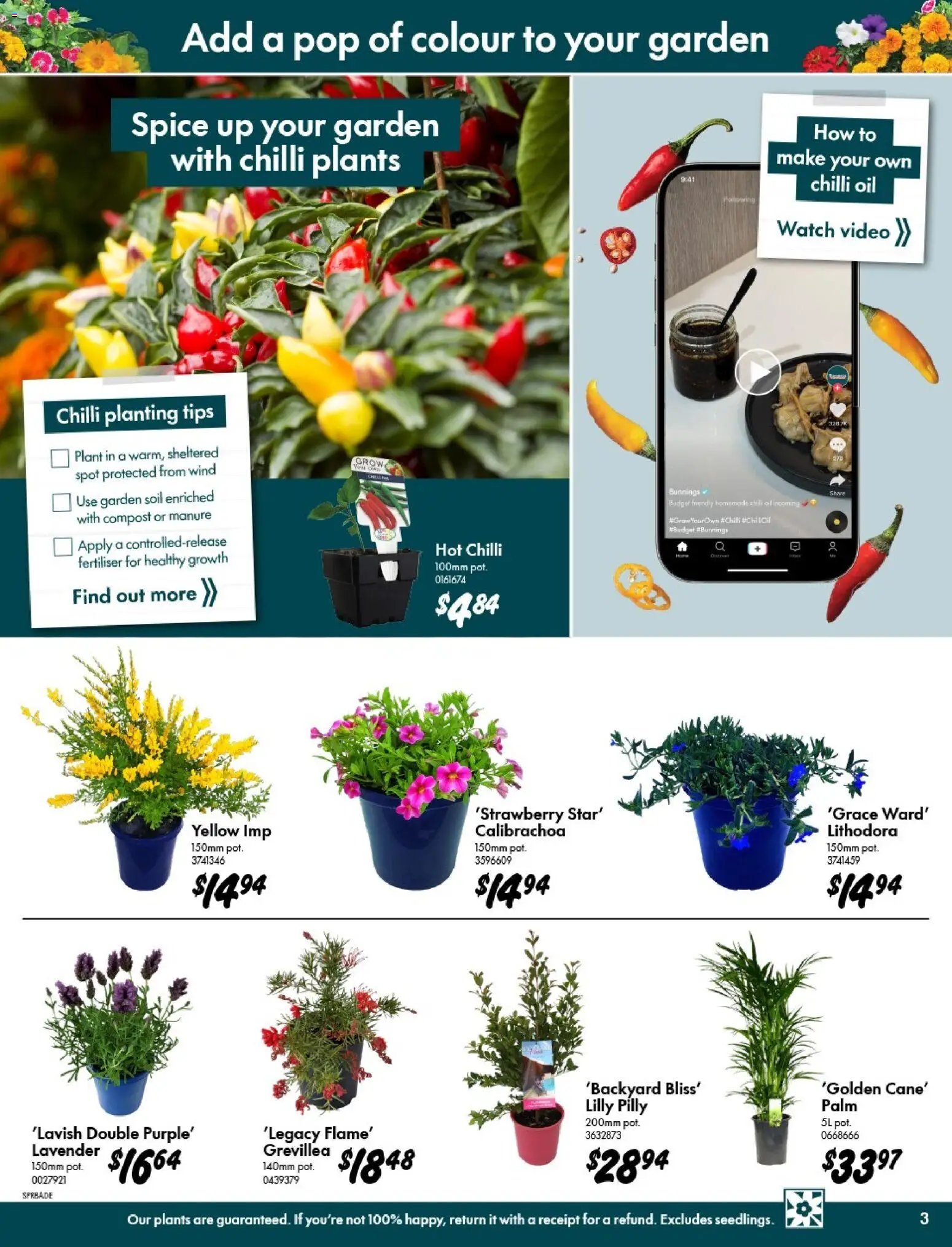 Bunnings Warehouse catalogue from 09/09/2026 Bunnings Warehouse - Spring Starts Here Kent Town