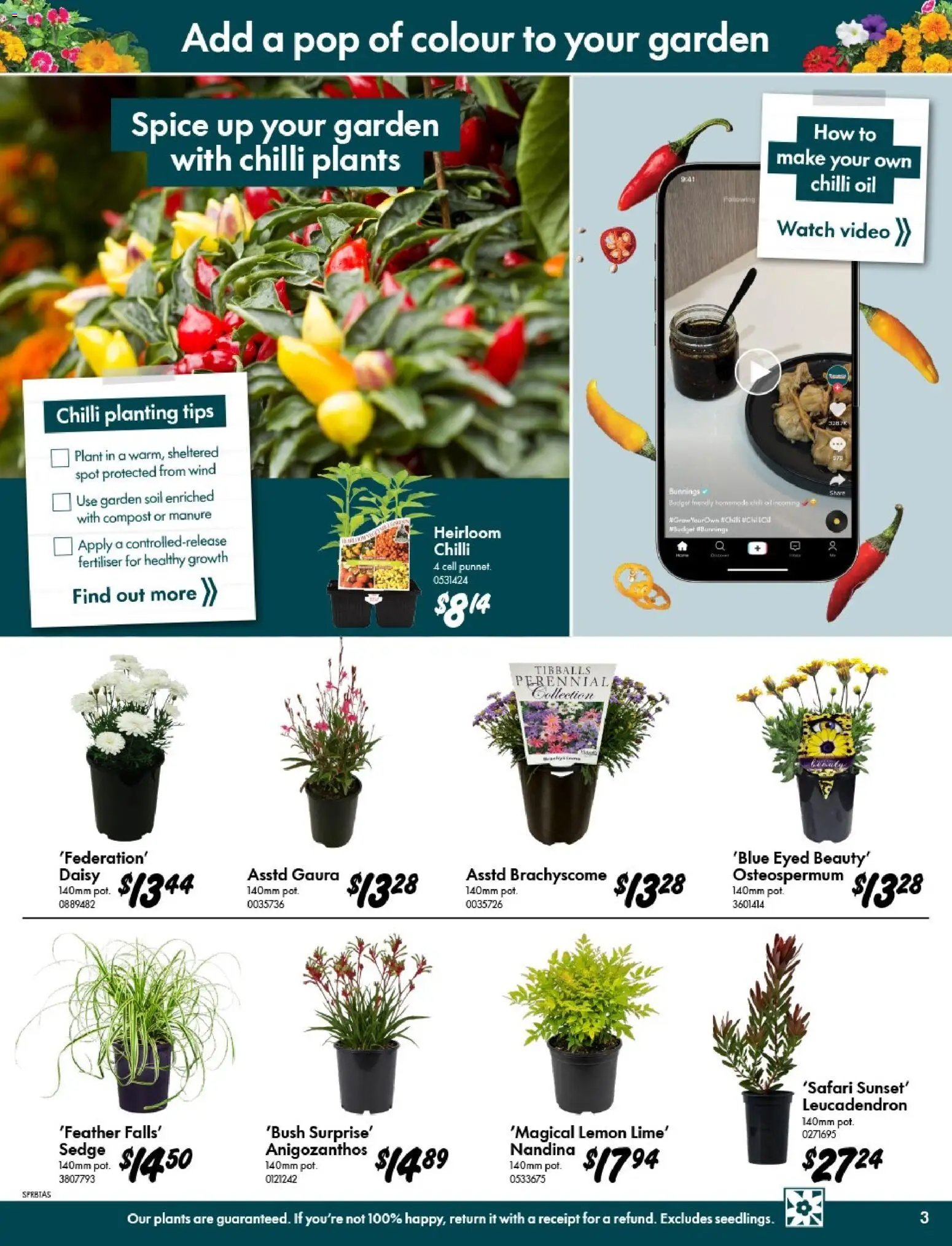 Bunnings Warehouse catalogue from 09/09/2026 Bunnings Warehouse - Spring Starts Here Kings Meadows