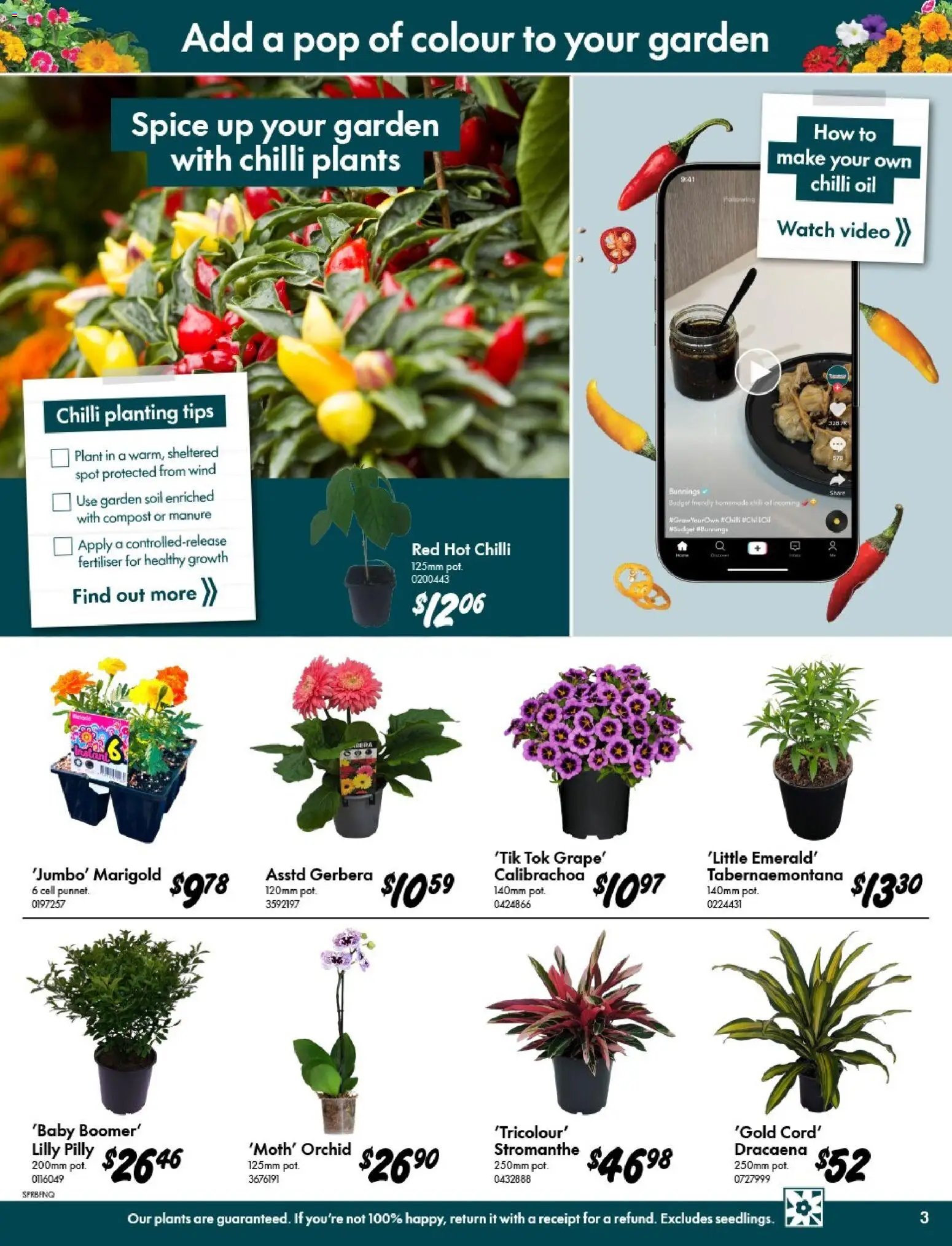 Bunnings Warehouse catalogue from 09/09/2026 Bunnings Warehouse - Outdoor Projects Start Here