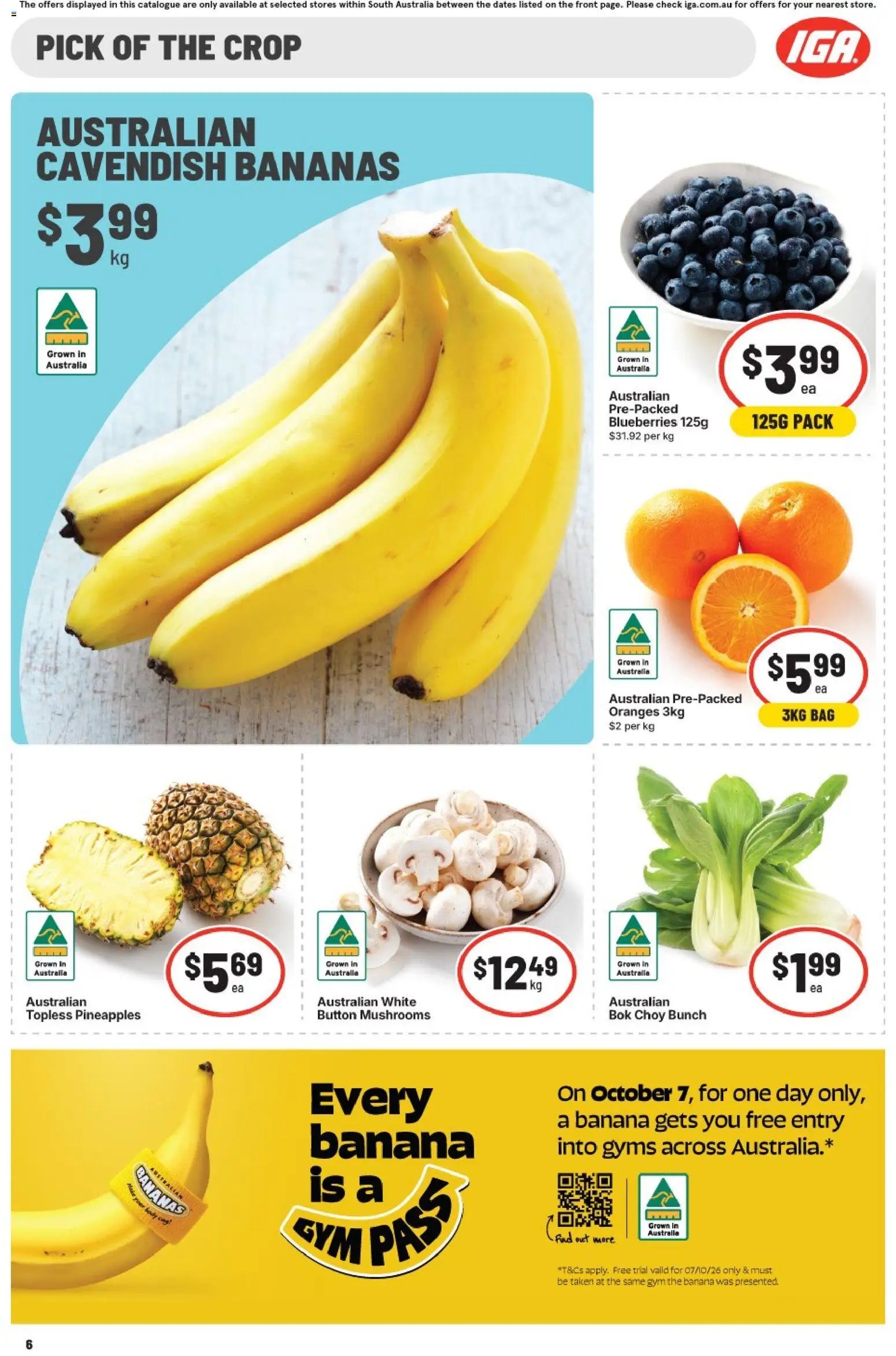 IGA catalogue from 07/10/2026 IGA catalogue SA