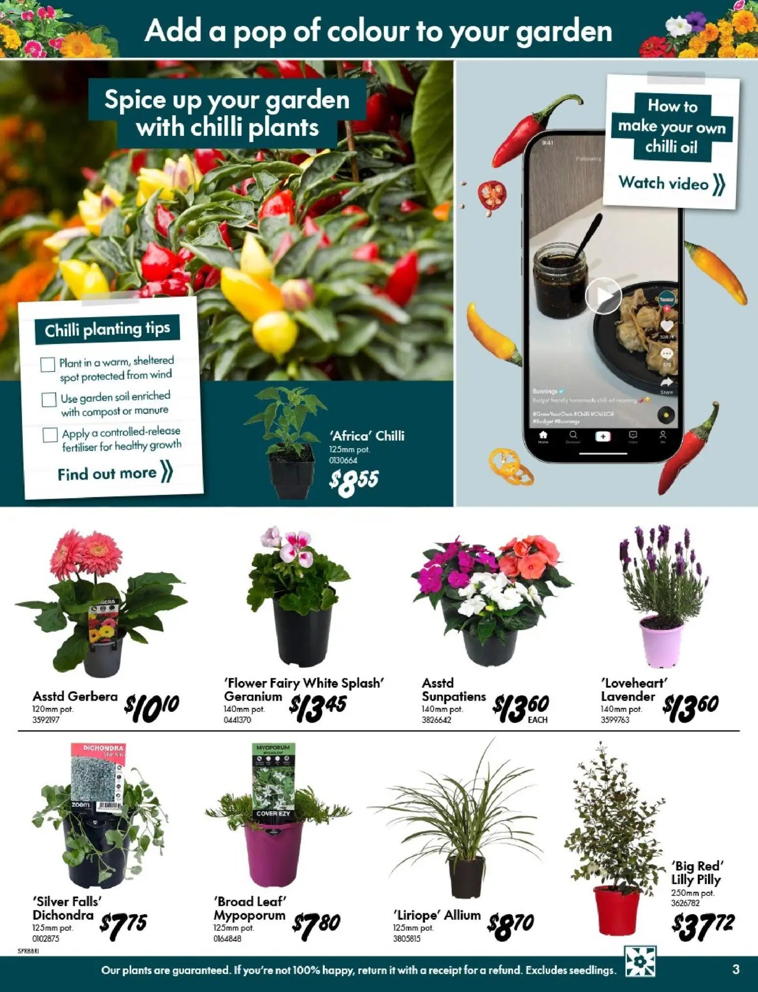 Bunnings Warehouse catalogue from 09/09/2026 Bunnings Warehouse - Spring Starts Here Bald Hills