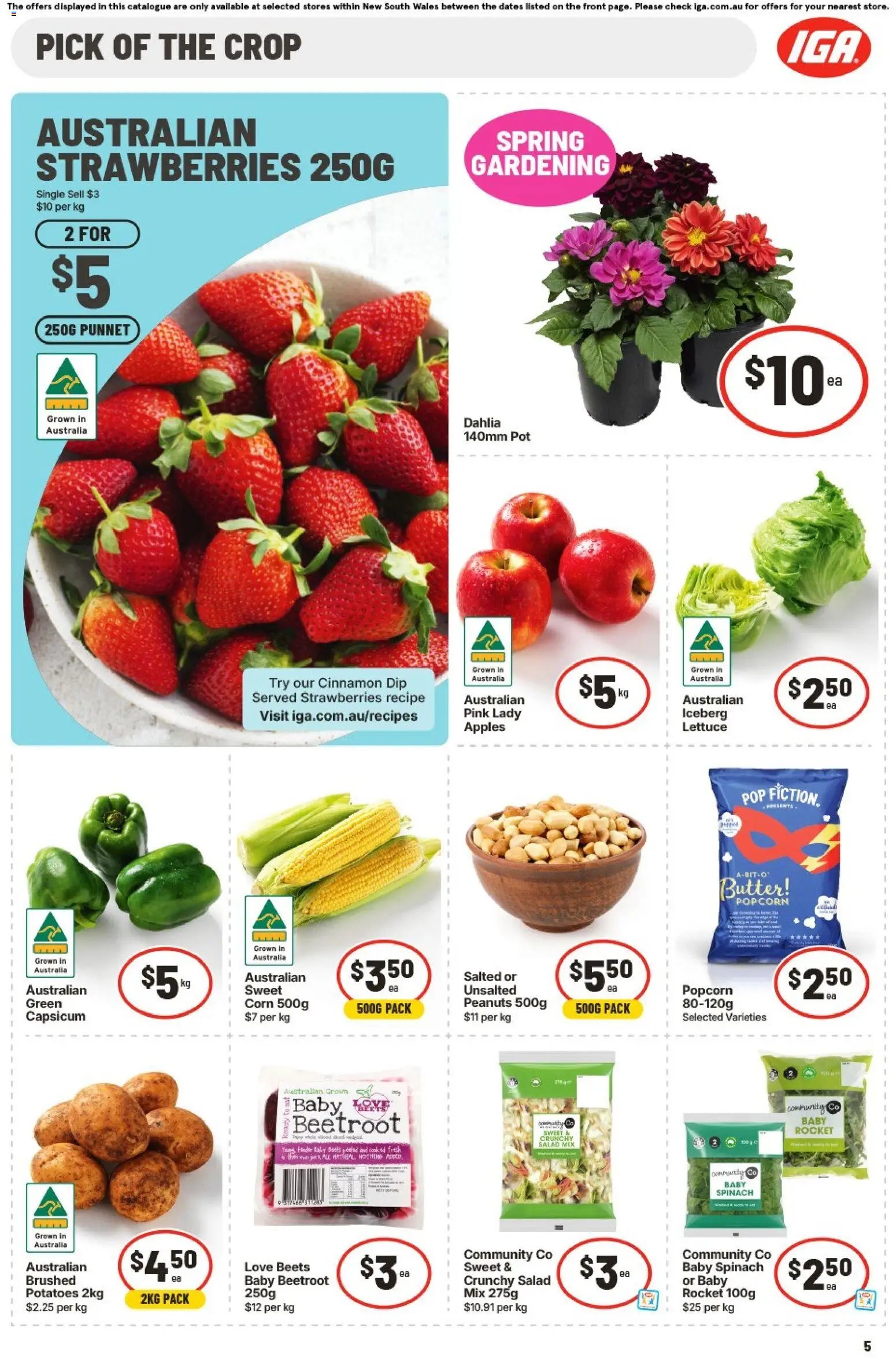 IGA catalogue from 09/09/2026 IGA catalogue Hackett