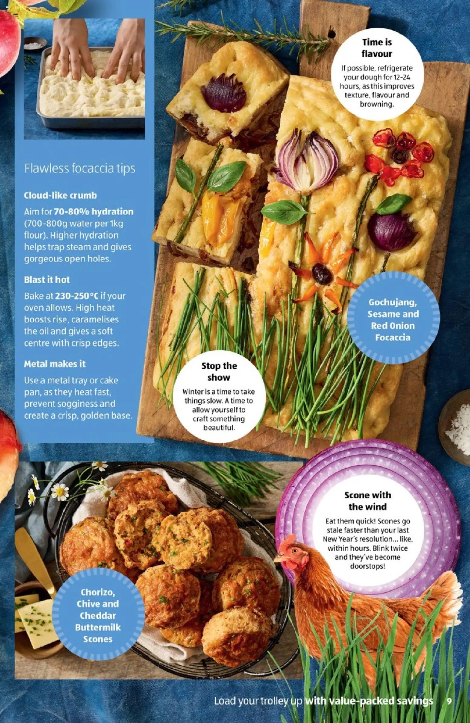 Aldi catalogue from 02/06/2026 Aldi catalogue Winter revival