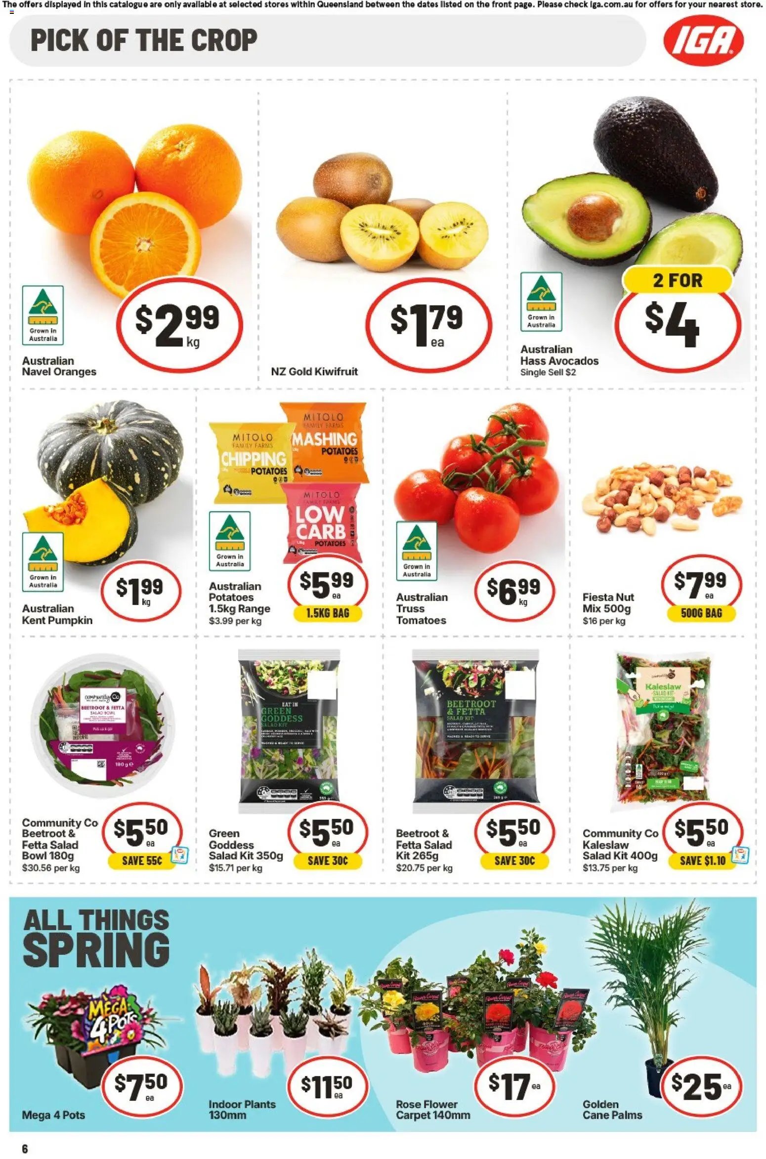 IGA catalogue from 16/09/2026 IGA catalogue Ascot