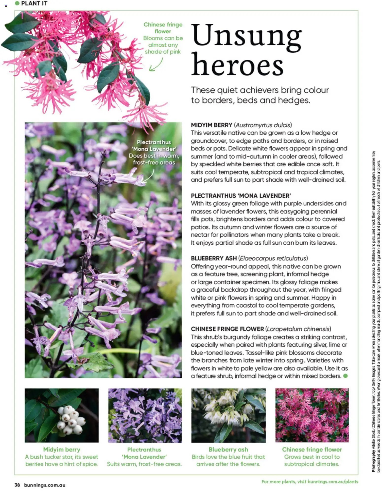 Bunnings Warehouse catalogue from 01/10/2026 Bunnings Warehouse Magazine October