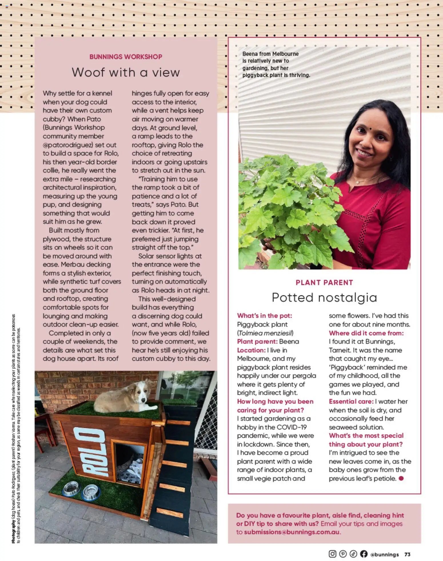 Bunnings Warehouse catalogue from 01/10/2026 Bunnings Warehouse Magazine October