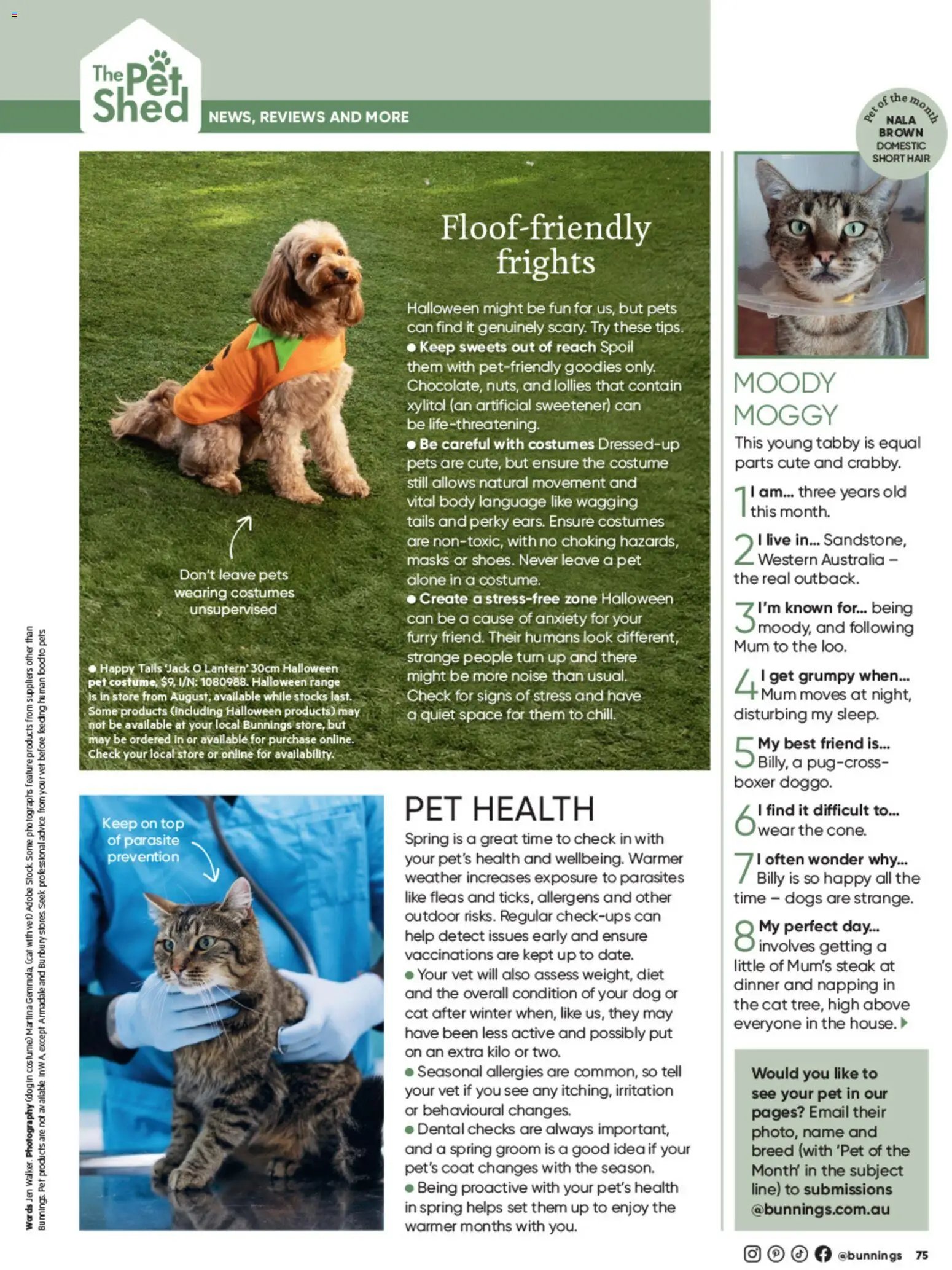 Bunnings Warehouse catalogue from 01/10/2026 Bunnings Warehouse Magazine October