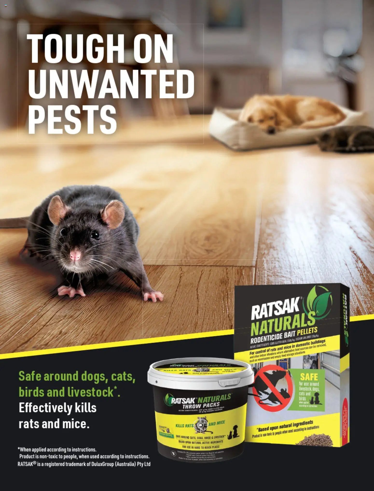 Bunnings Warehouse catalogue from 01/10/2026 Bunnings Warehouse Magazine October