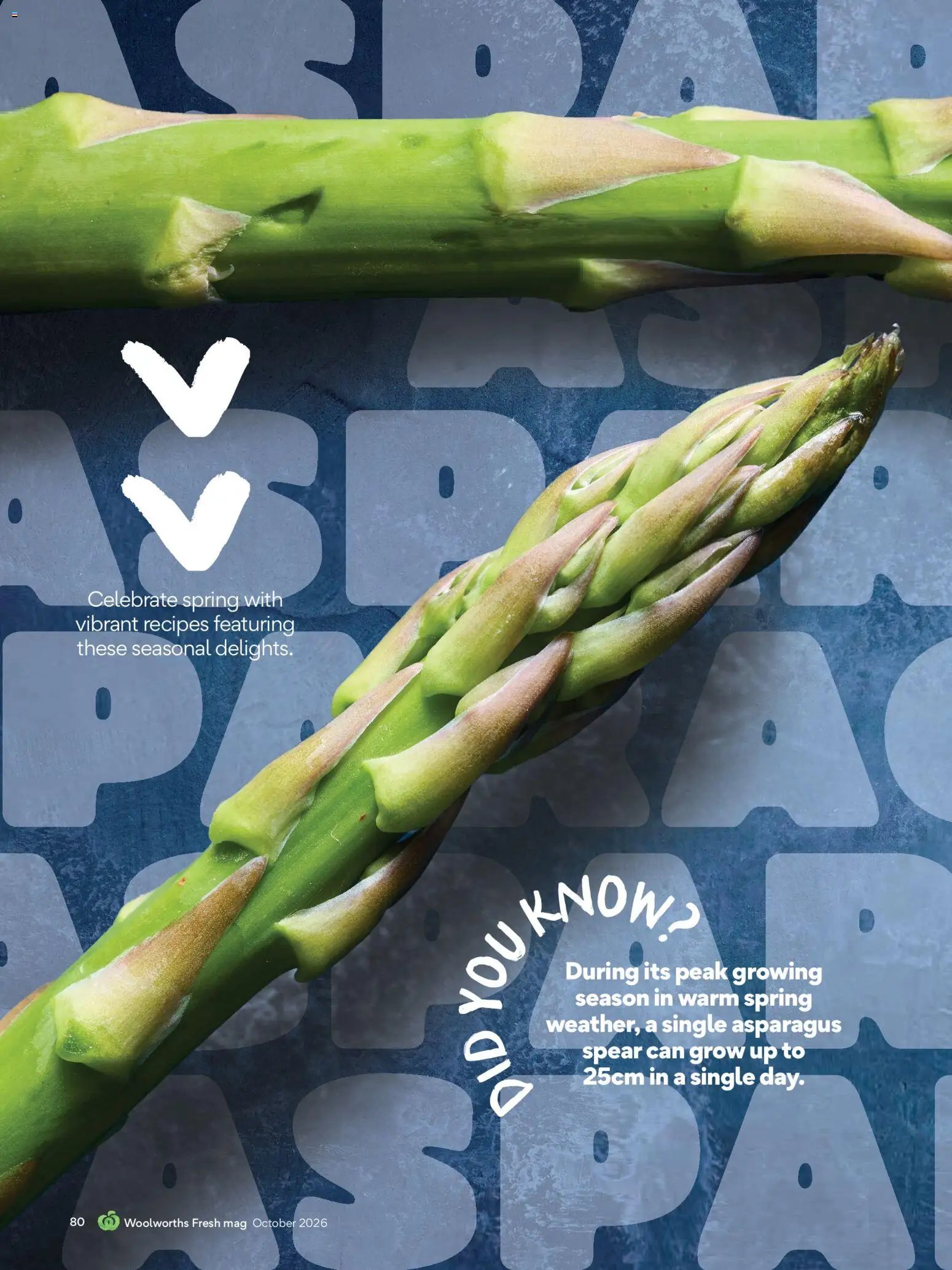Woolworths catalogue from 01/10/2026 Oktober magazine