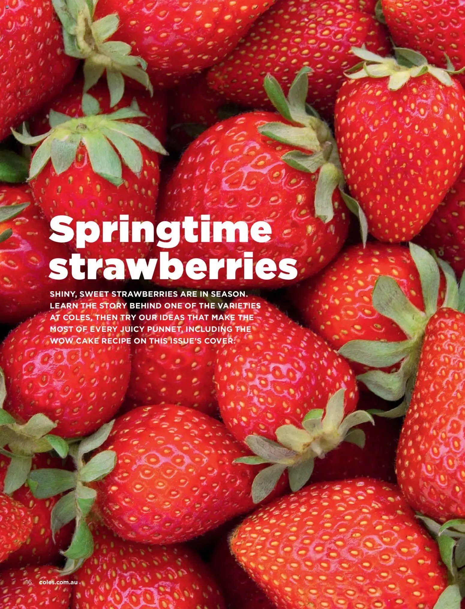 Coles catalogue from 01/09/2026 Coles catalogue September 2026
