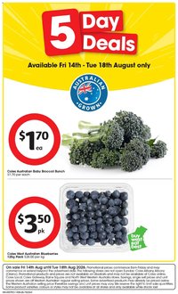 Coles catalogue from 14/08/2026 IGA 5 Day Deals WA