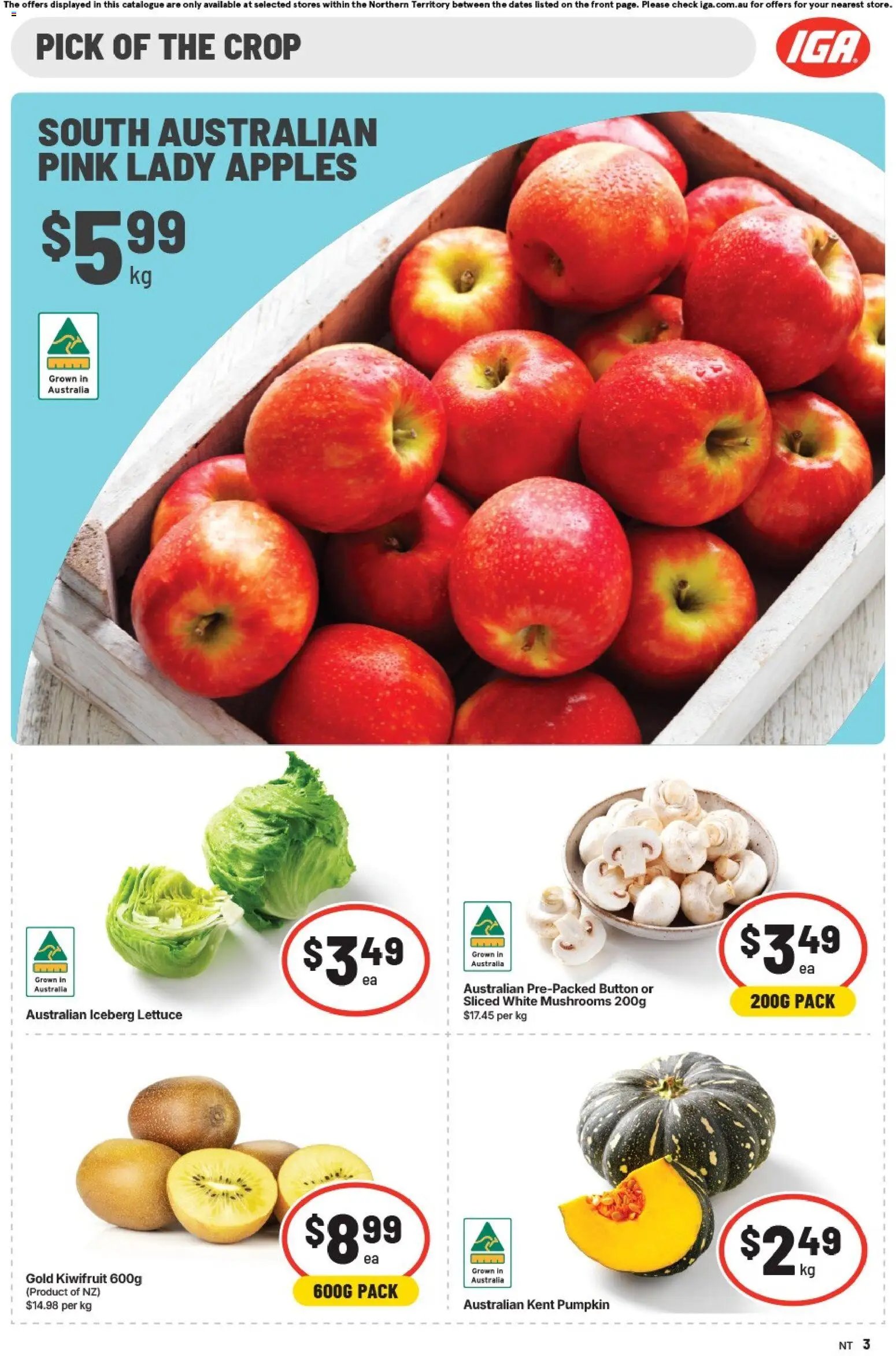 IGA catalogue from 05/08/2026 IGA catalogue NT