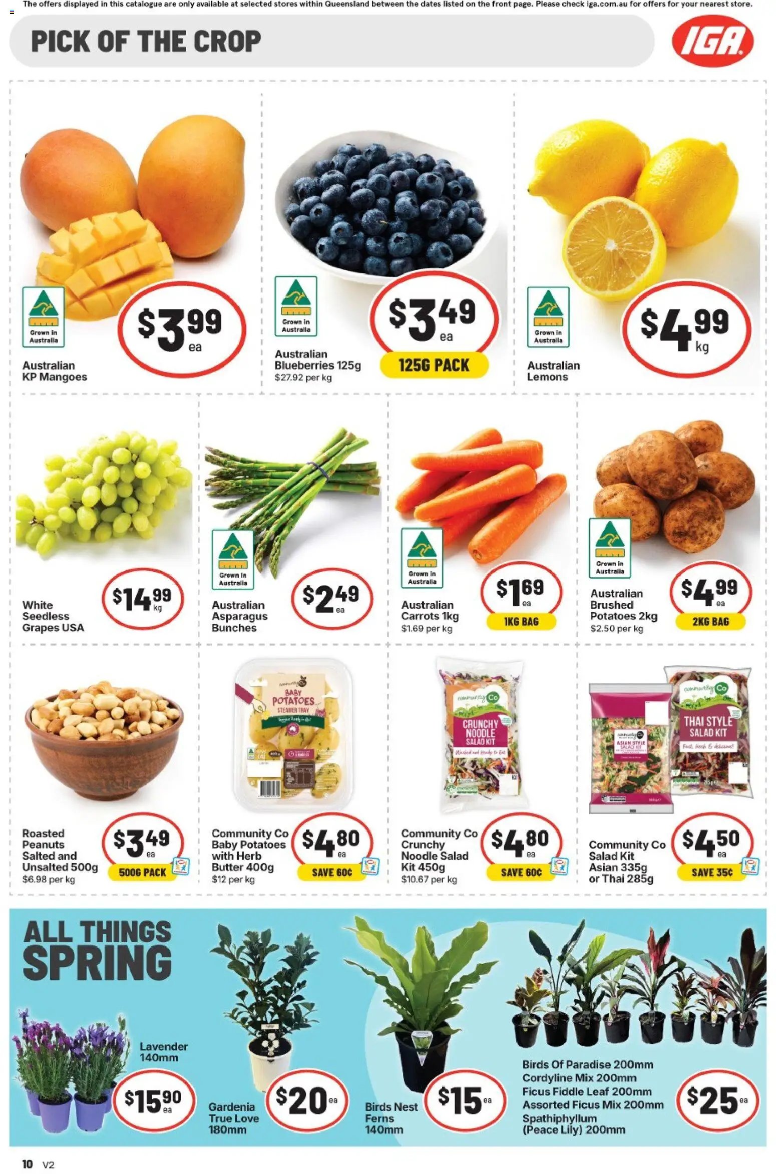 IGA catalogue from 23/09/2026 IGA catalogue East Brisbane