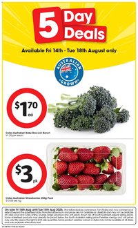 Coles catalogue from 14/08/2026 IGA 5 Day Deals SA
