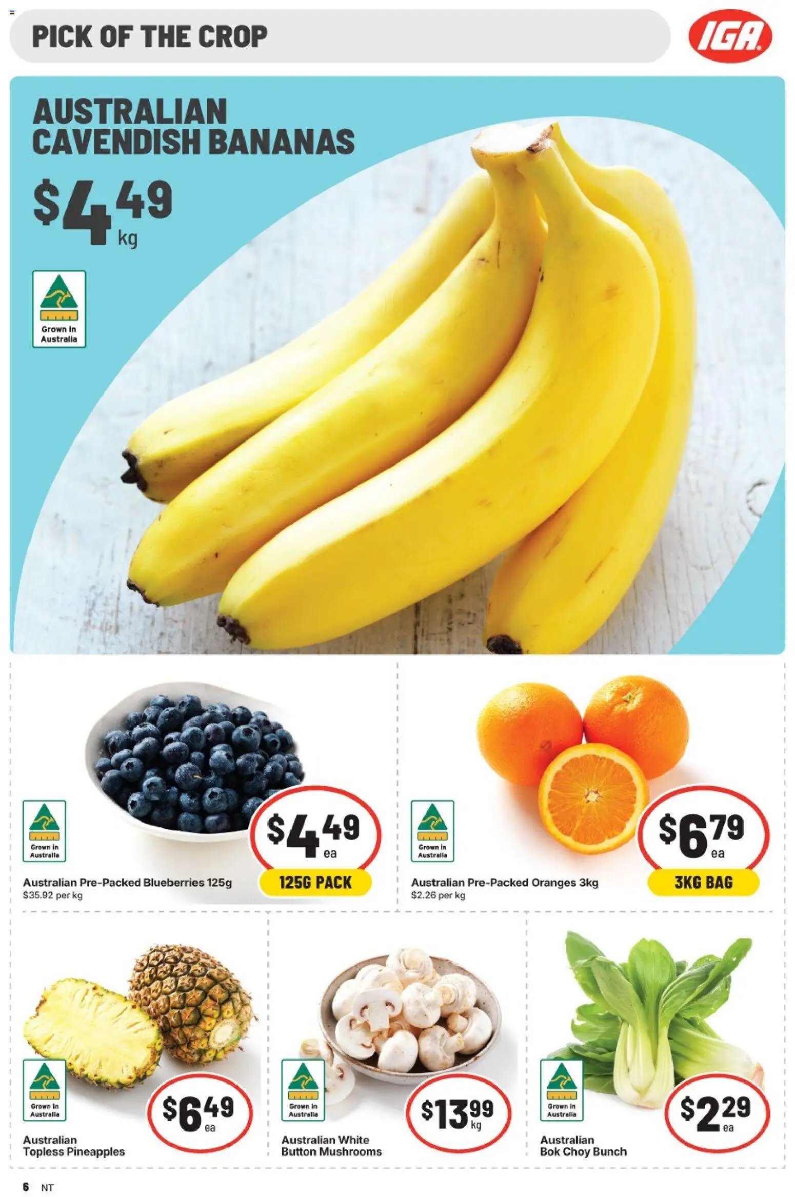 IGA catalogue from 07/10/2026 IGA catalogue NT