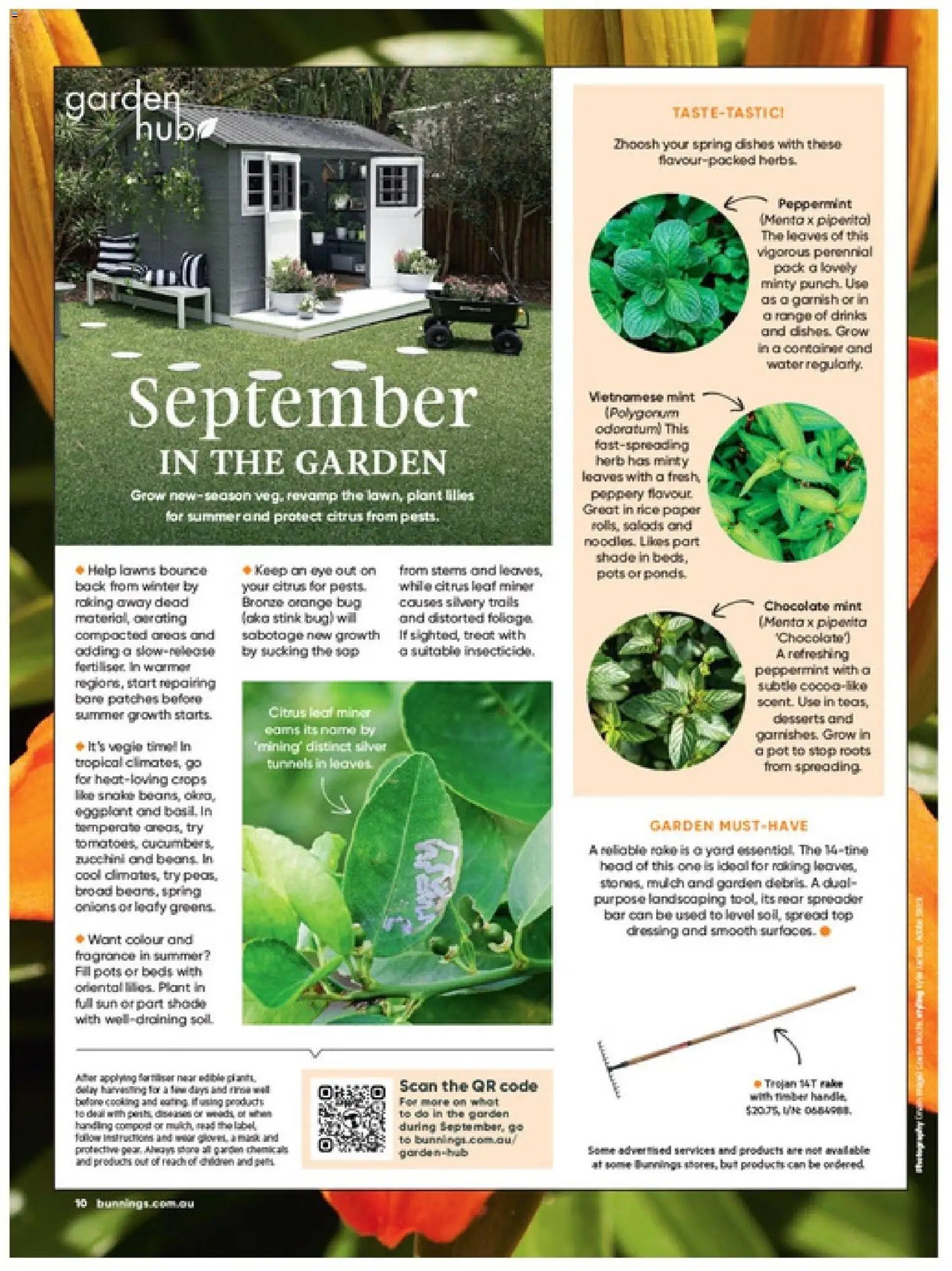 Bunnings Warehouse catalogue from 01/09/2026 Bunnings Warehouse Magazine September