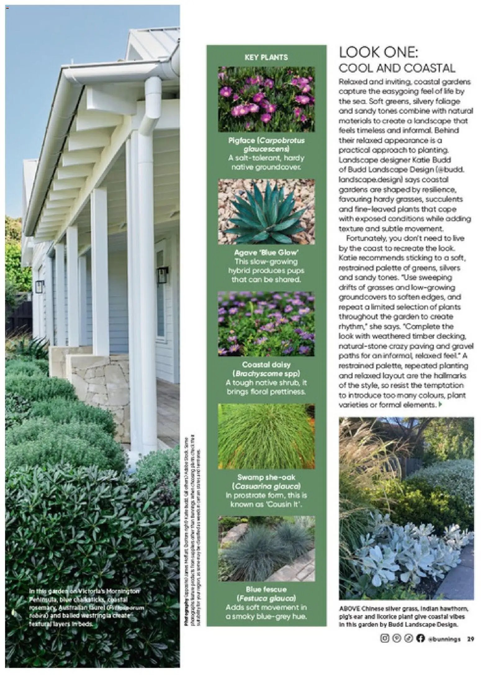 Bunnings Warehouse catalogue from 01/09/2026 Bunnings Warehouse Magazine September
