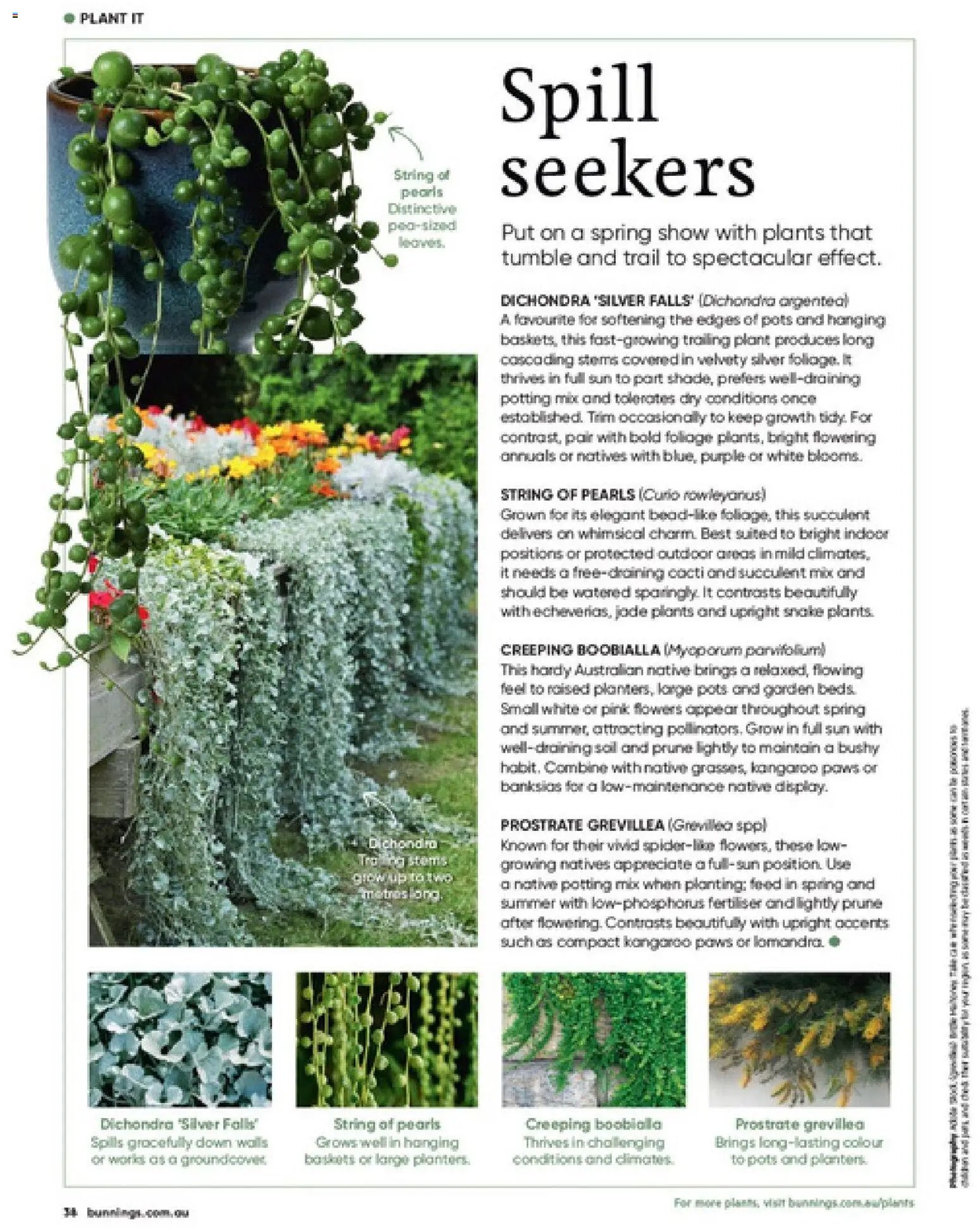 Bunnings Warehouse catalogue from 01/09/2026 Bunnings Warehouse Magazine September