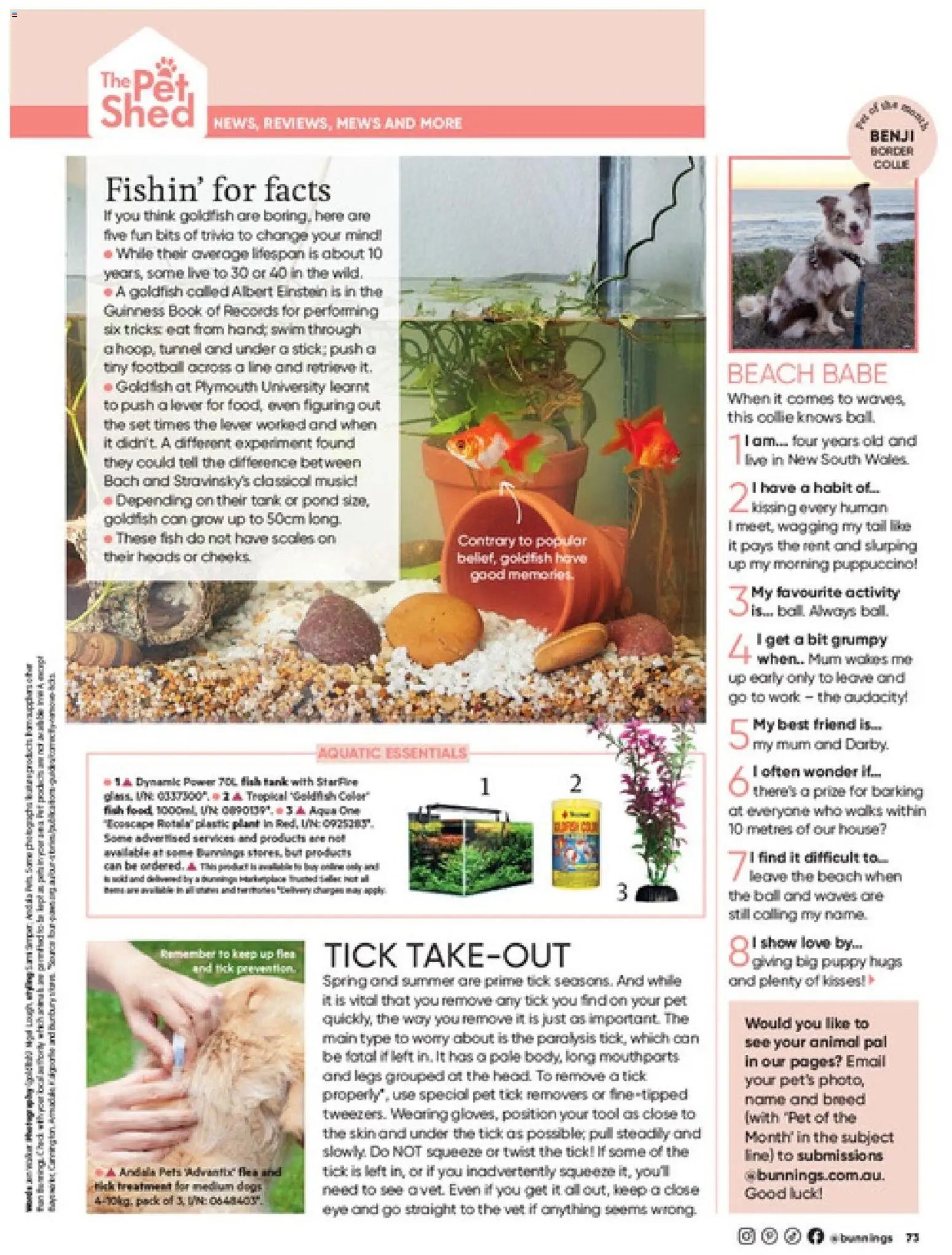 Bunnings Warehouse catalogue from 01/09/2026 Bunnings Warehouse Magazine September