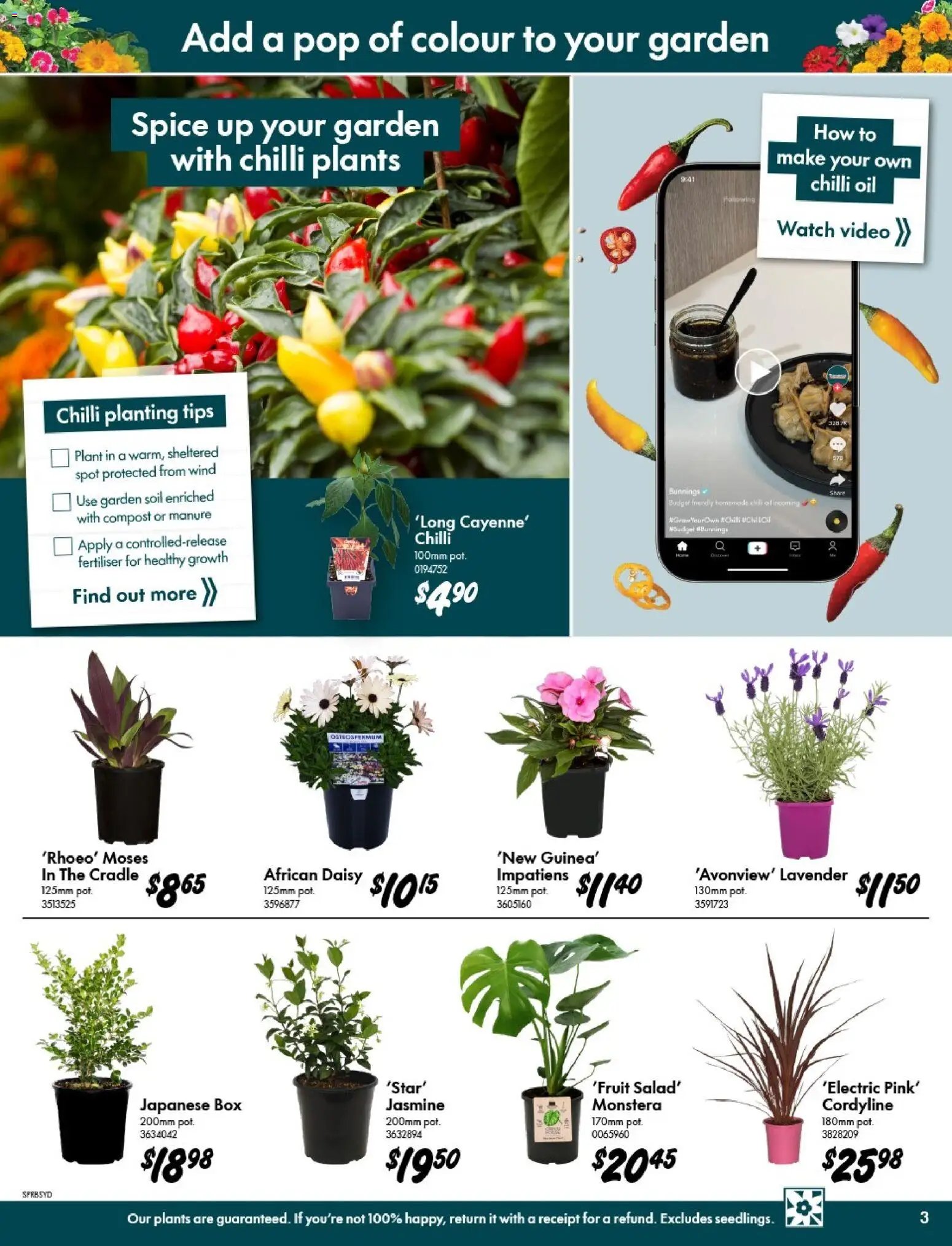 Bunnings Warehouse catalogue from 09/09/2026 Bunnings Warehouse - Spring Starts Here Minchinbury