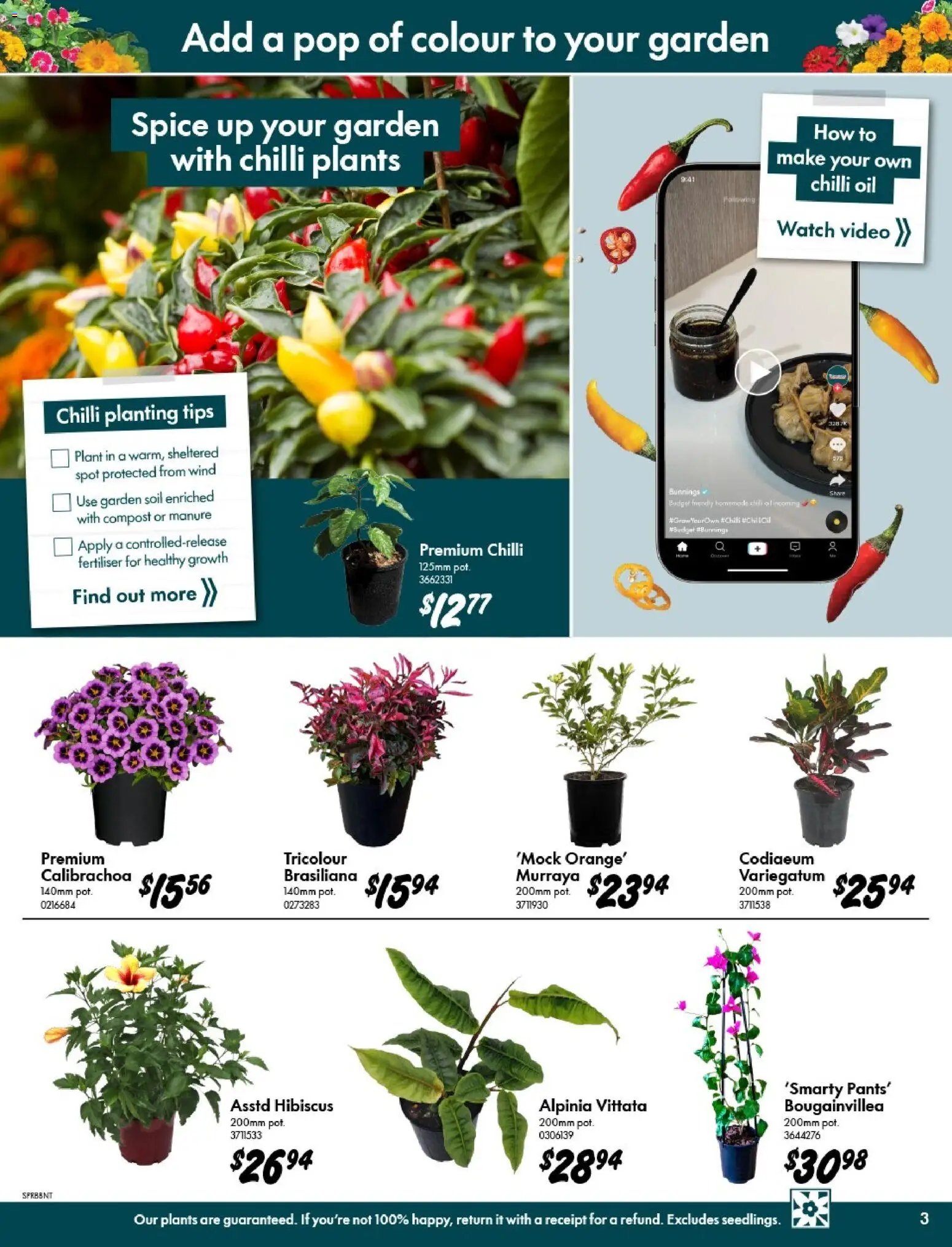 Bunnings Warehouse catalogue from 09/09/2026 Bunnings Warehouse - Outdoor Projects Start Here Coconut Grove