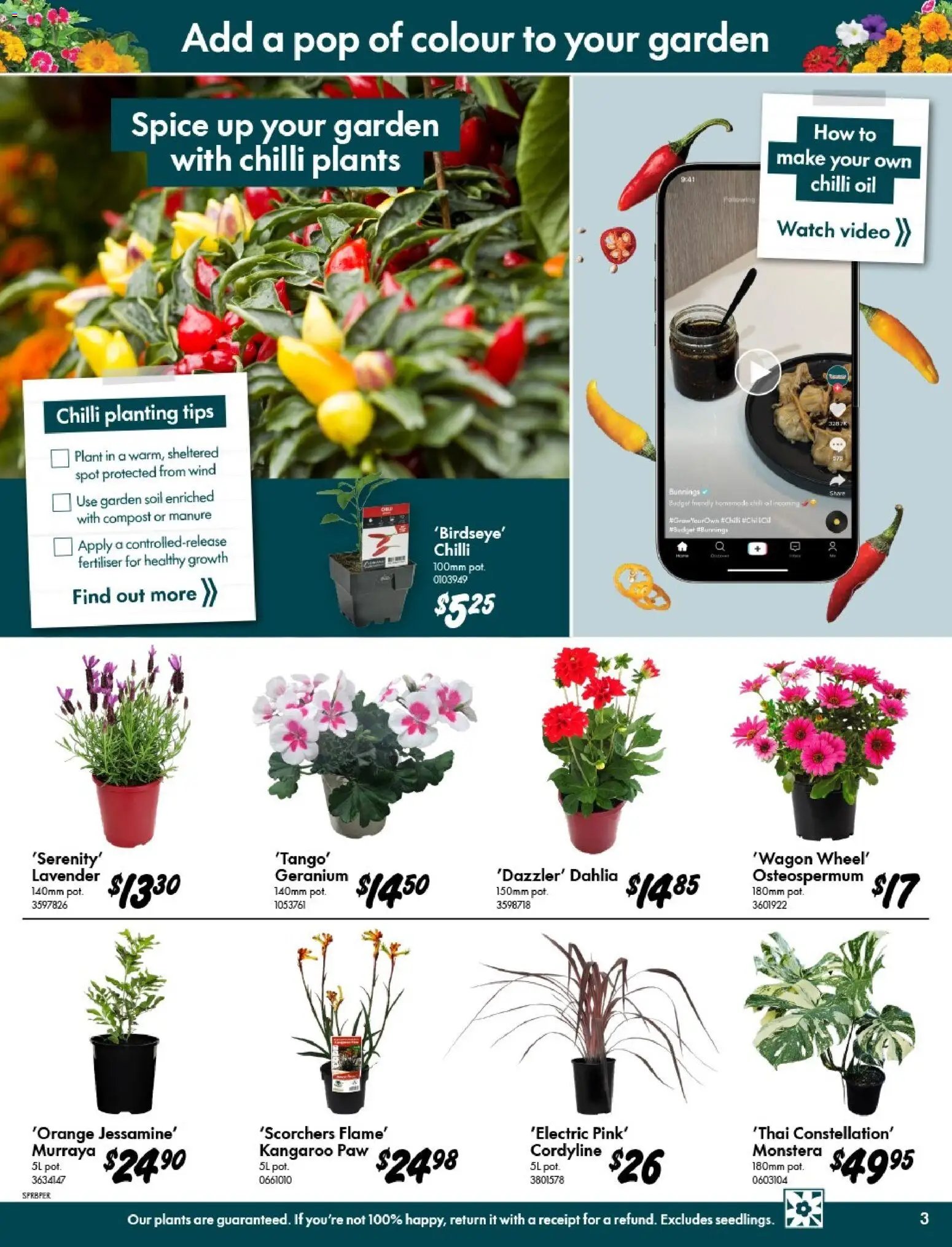 Bunnings Warehouse catalogue from 09/09/2026 Bunnings Warehouse - Spring Starts Here Harrisdale