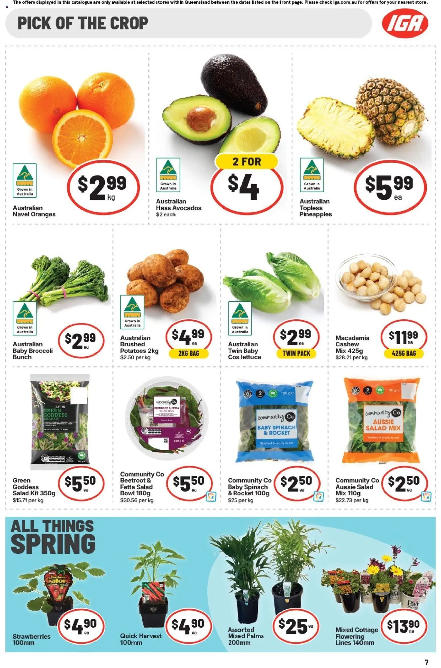 IGA catalogue from 02/08/2026 IGA catalogue East Brisbane