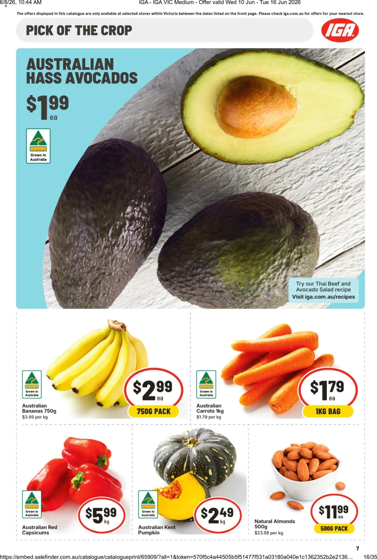 IGA catalogue from 10/06/2026 IGA catalogue