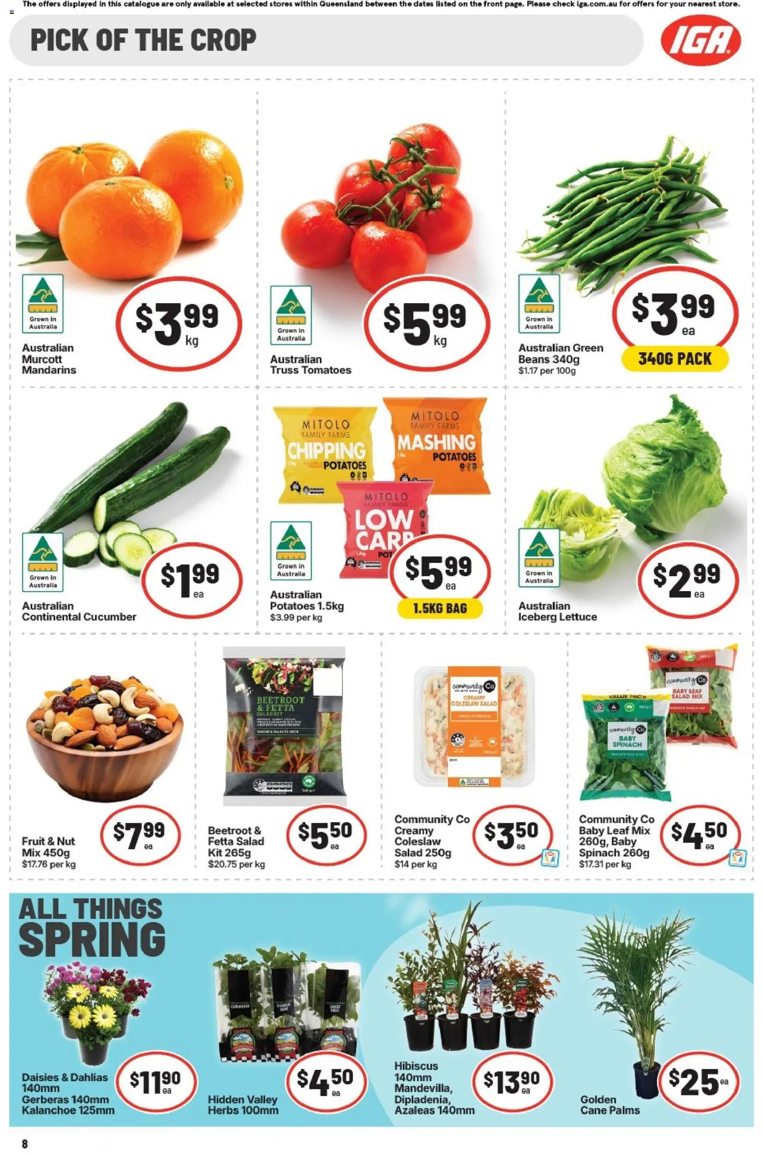 IGA catalogue from 25/08/2026 IGA catalogue Extra specials East Brisbane