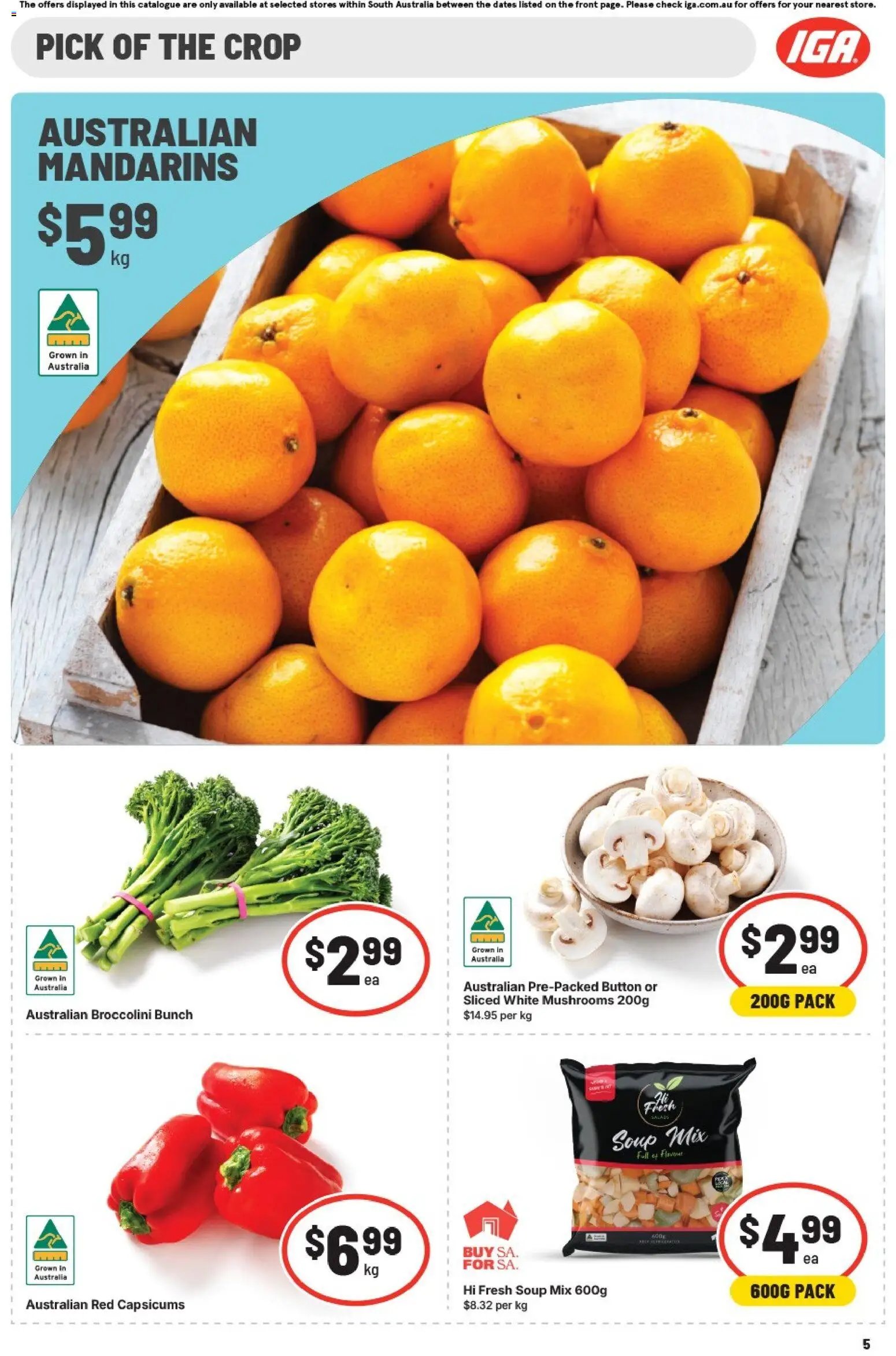 IGA catalogue from 17/06/2026 IGA catalogue SA