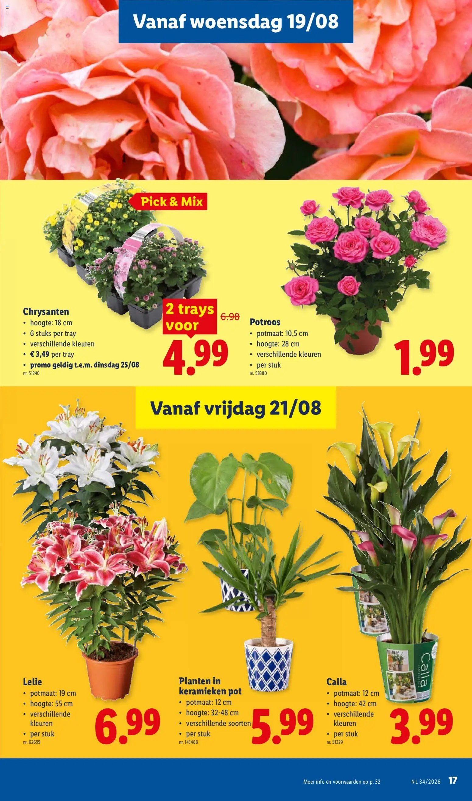 Lidl folder van 17.08.2026 Lidl Folder week 34
