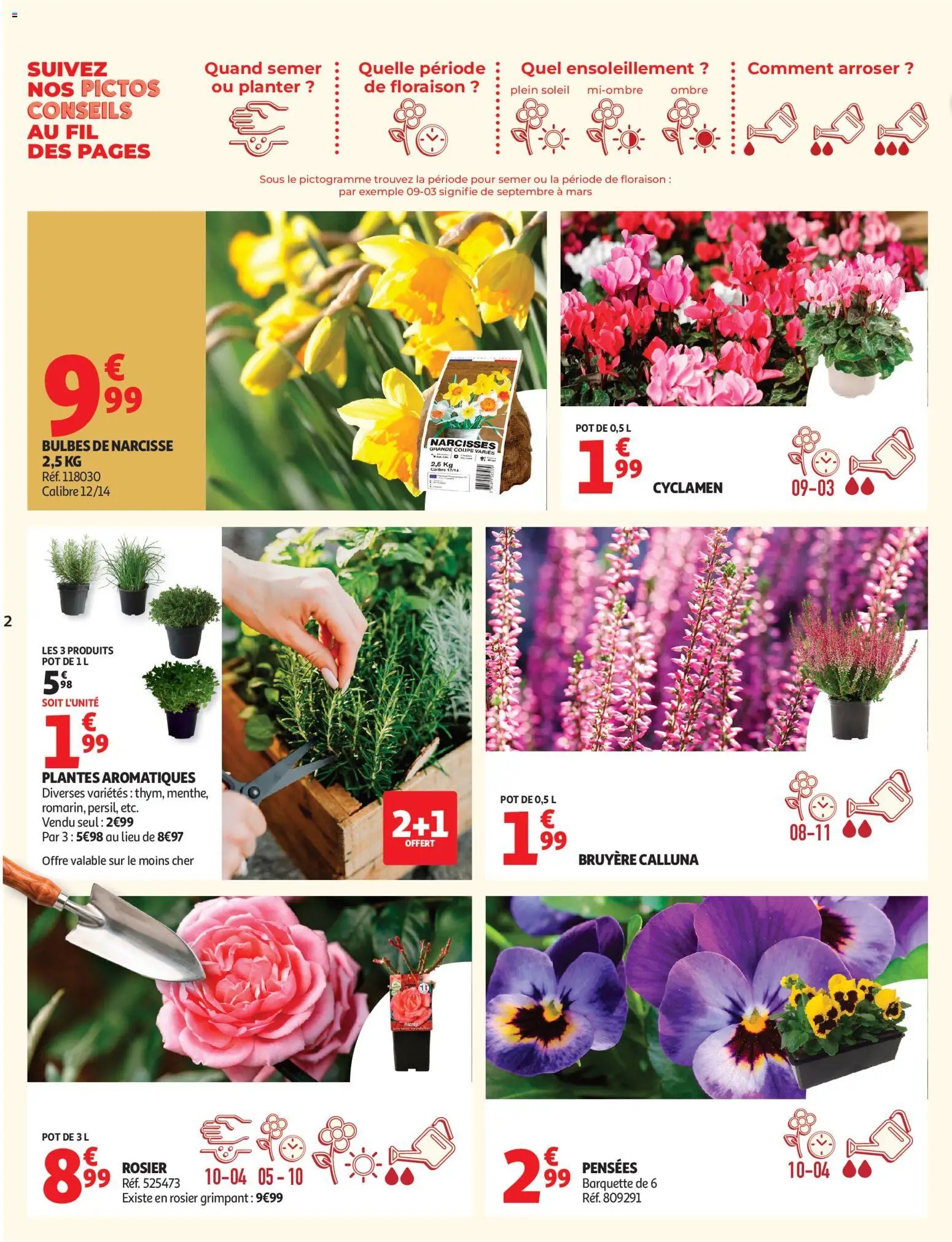 Auchan folder van 22.09.2026 Auchan Jardinage automne