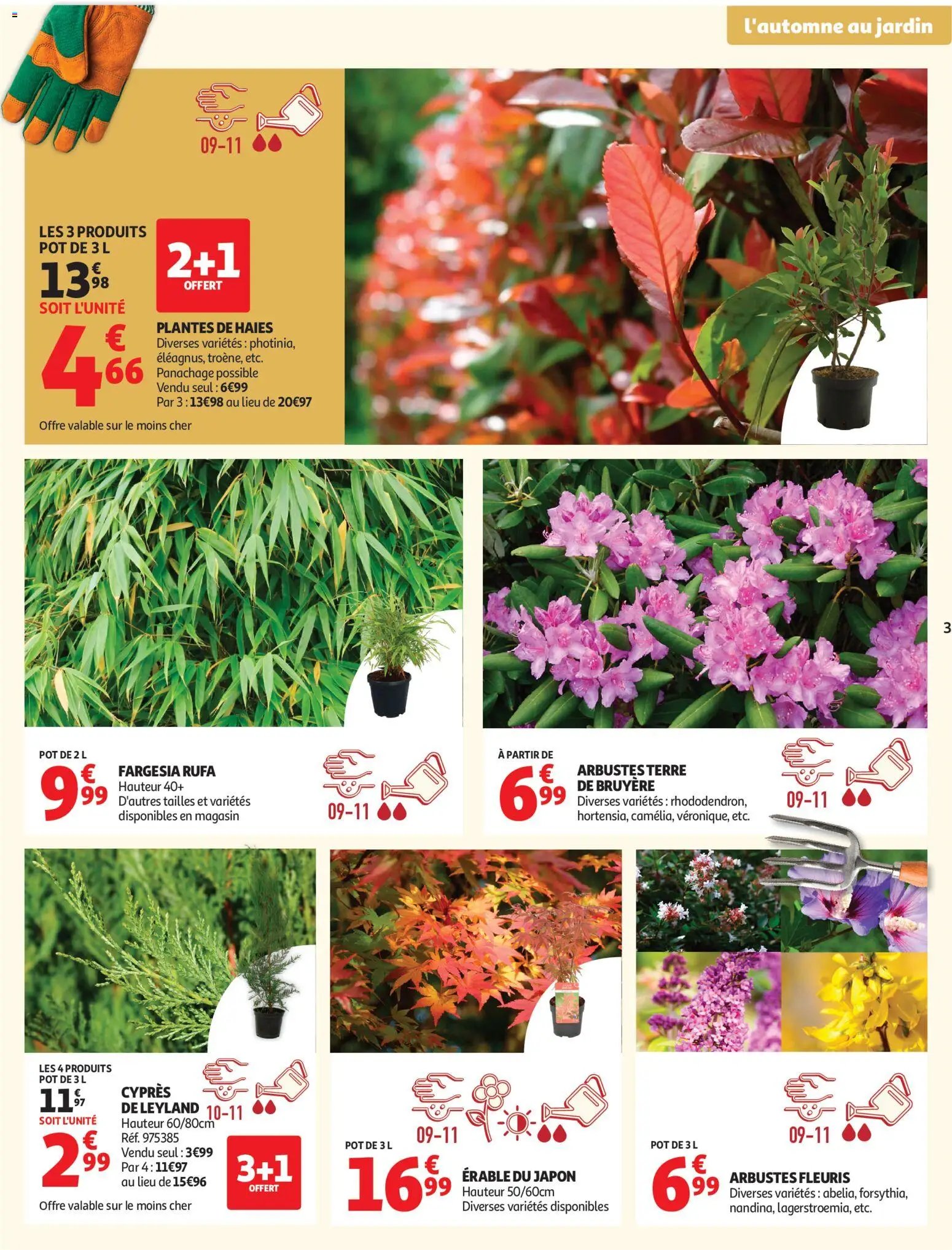 Auchan folder van 22.09.2026 Auchan Jardinage automne