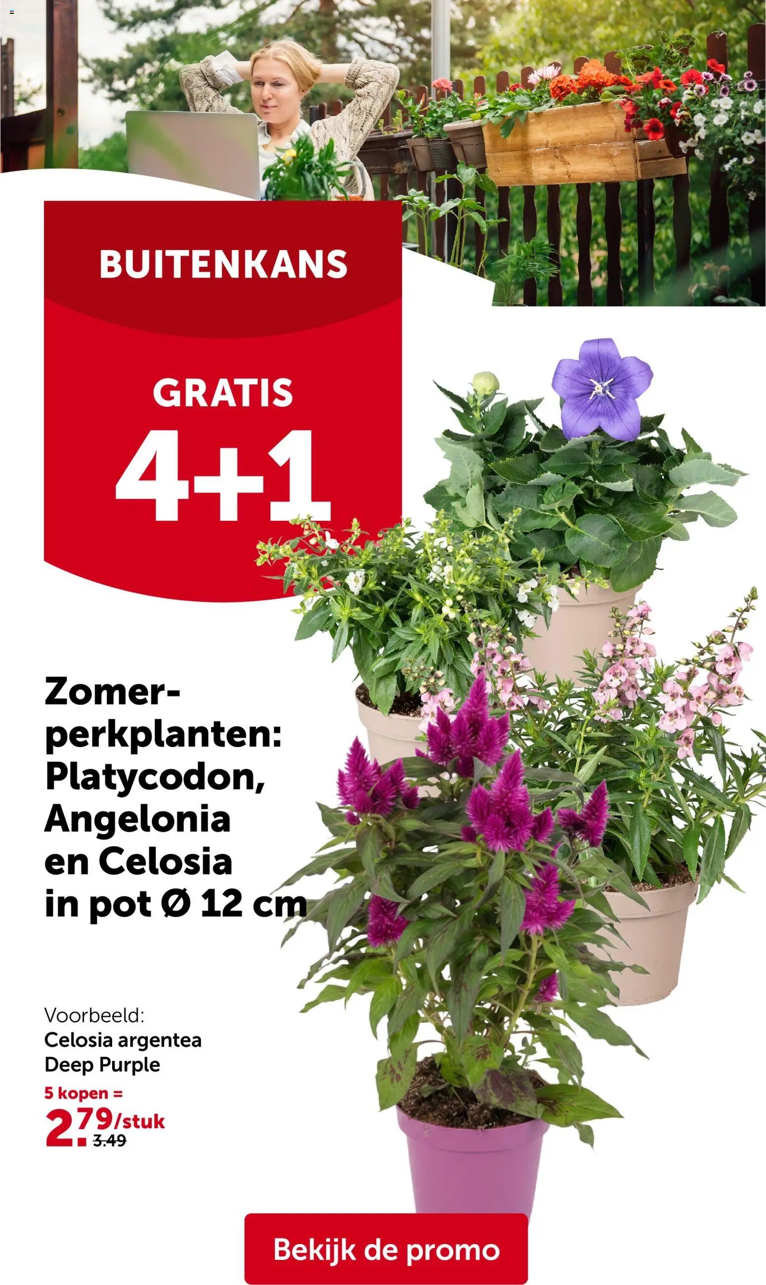 Aveve folder van 03.06.2026 Aveve Folder