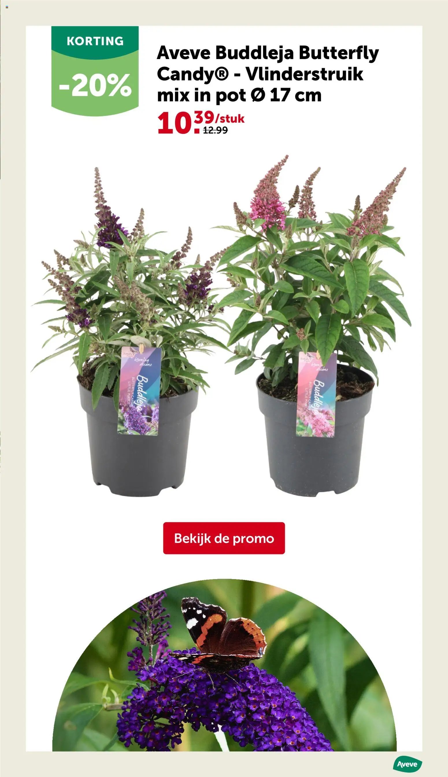 Aveve folder van 03.06.2026 Aveve Folder
