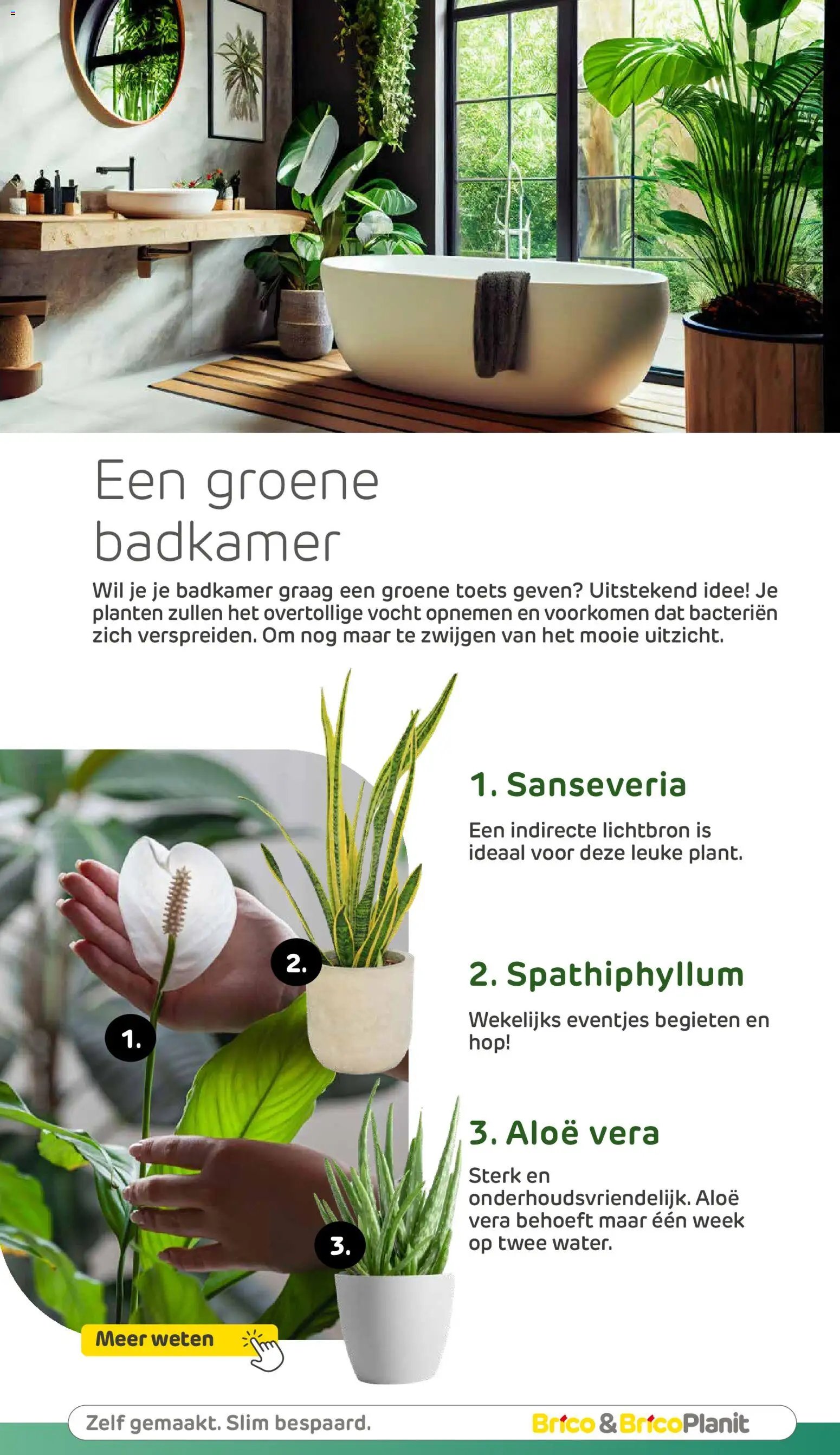 Brico folder van 19.06.2026 Brico Folder Badkamermagazine