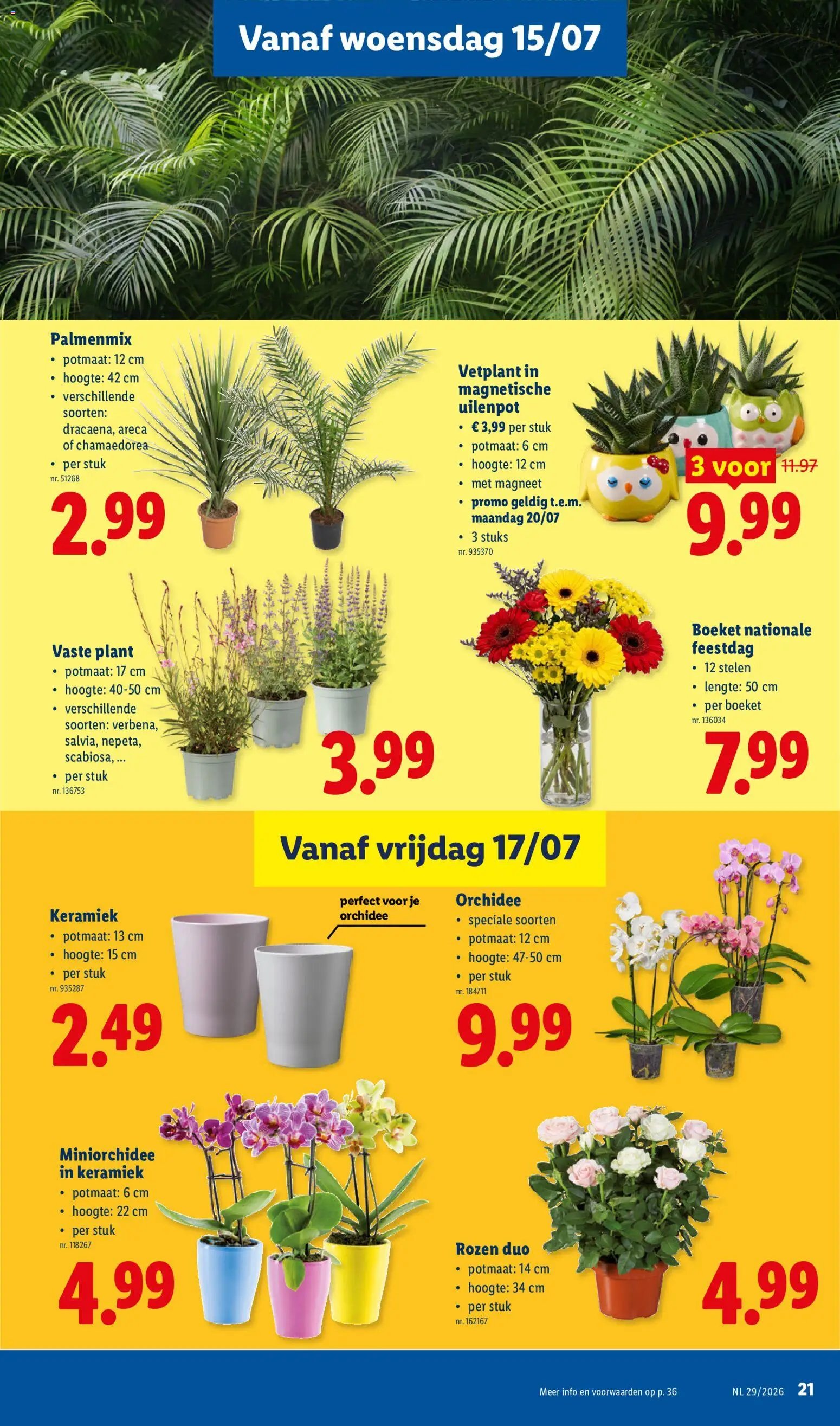 Lidl folder van 13.07.2026 Lidl Folder week 29