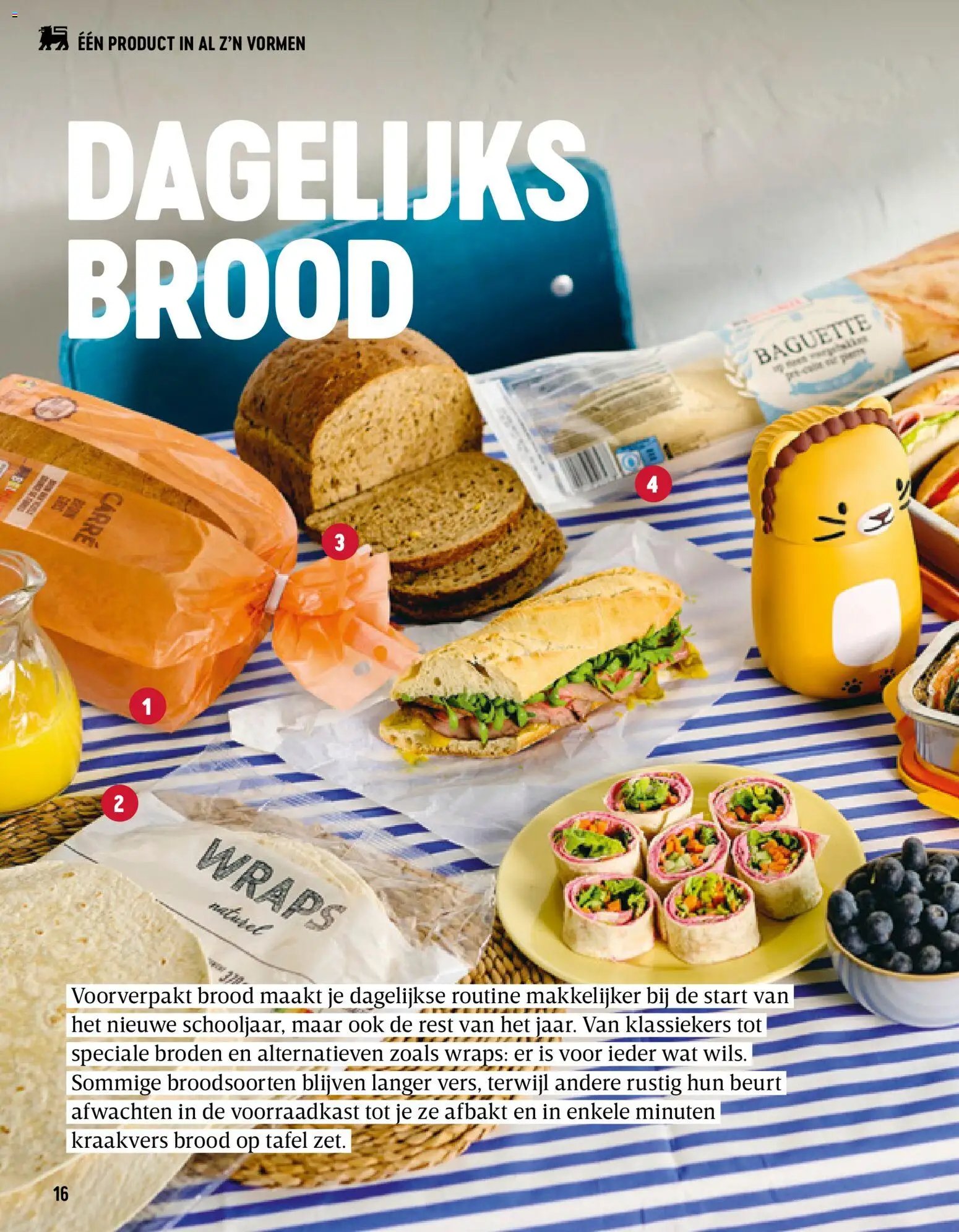 Delhaize folder van 18.08.2026 Delhaize Magazine