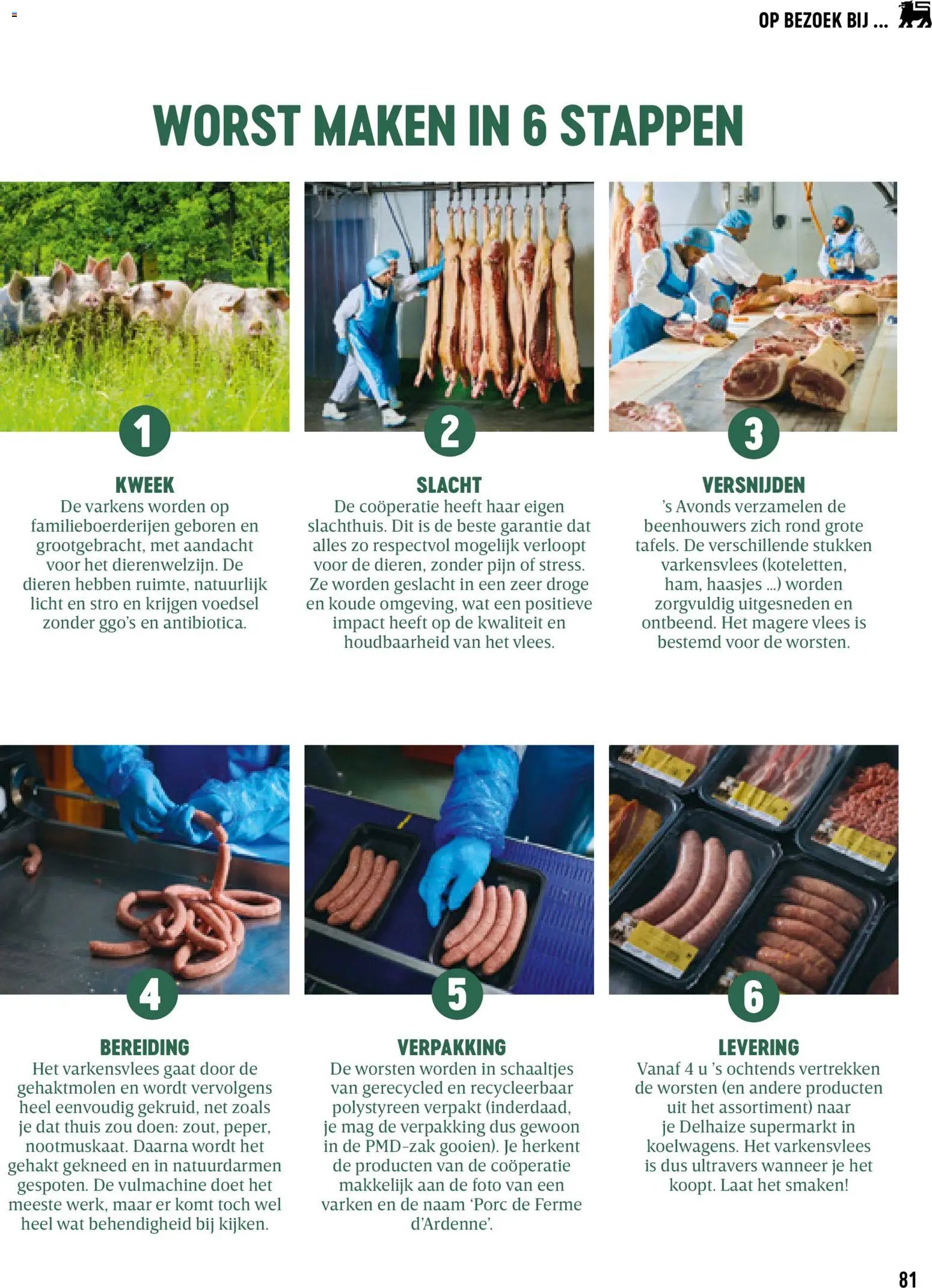 Delhaize folder van 18.08.2026 Delhaize Magazine