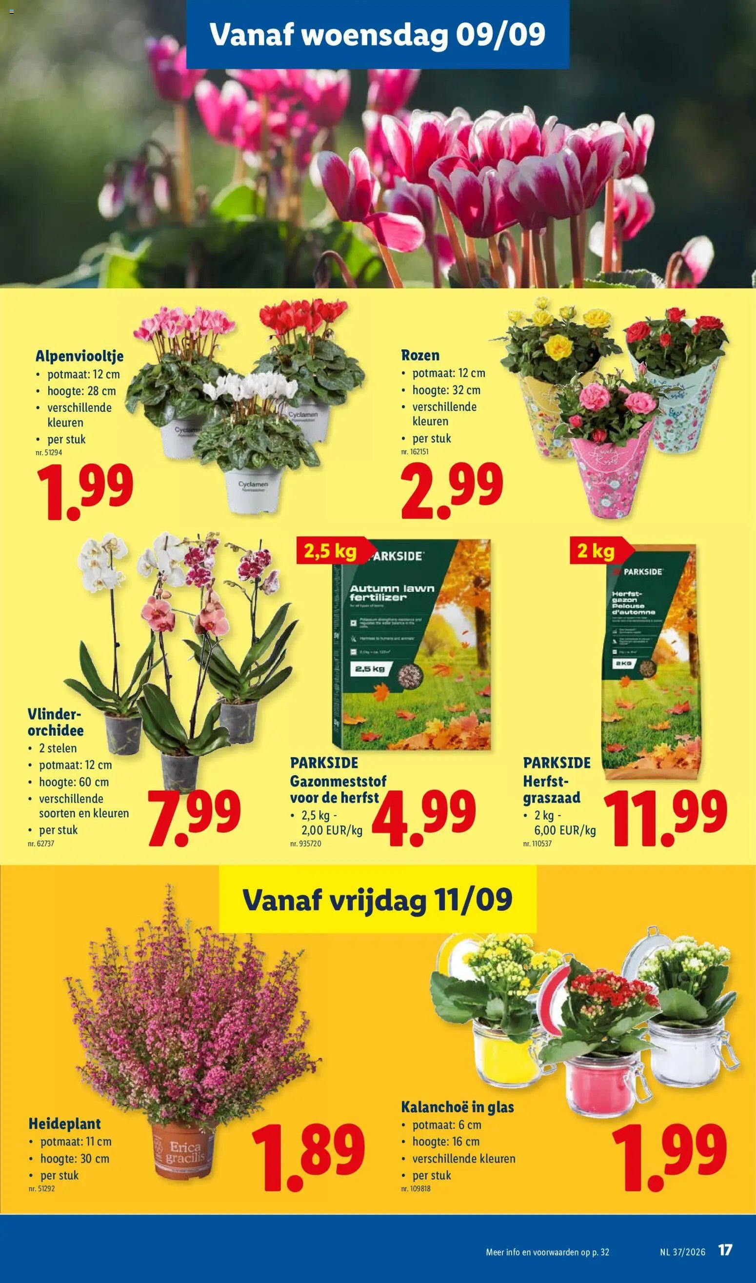 Lidl folder van 07.09.2026 Lidl Folder week 37