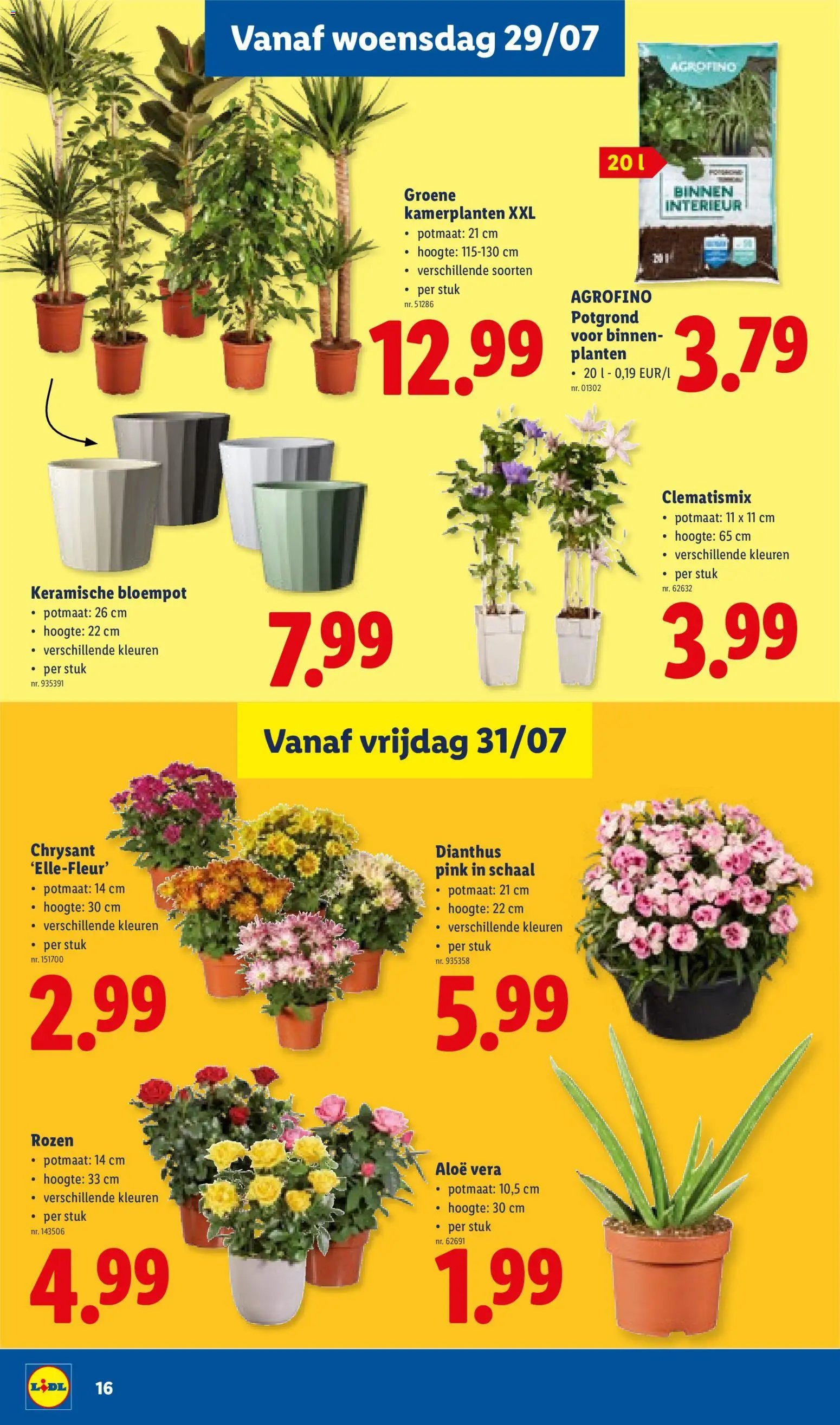Lidl folder van 27.07.2026 Lidl Folder week 31