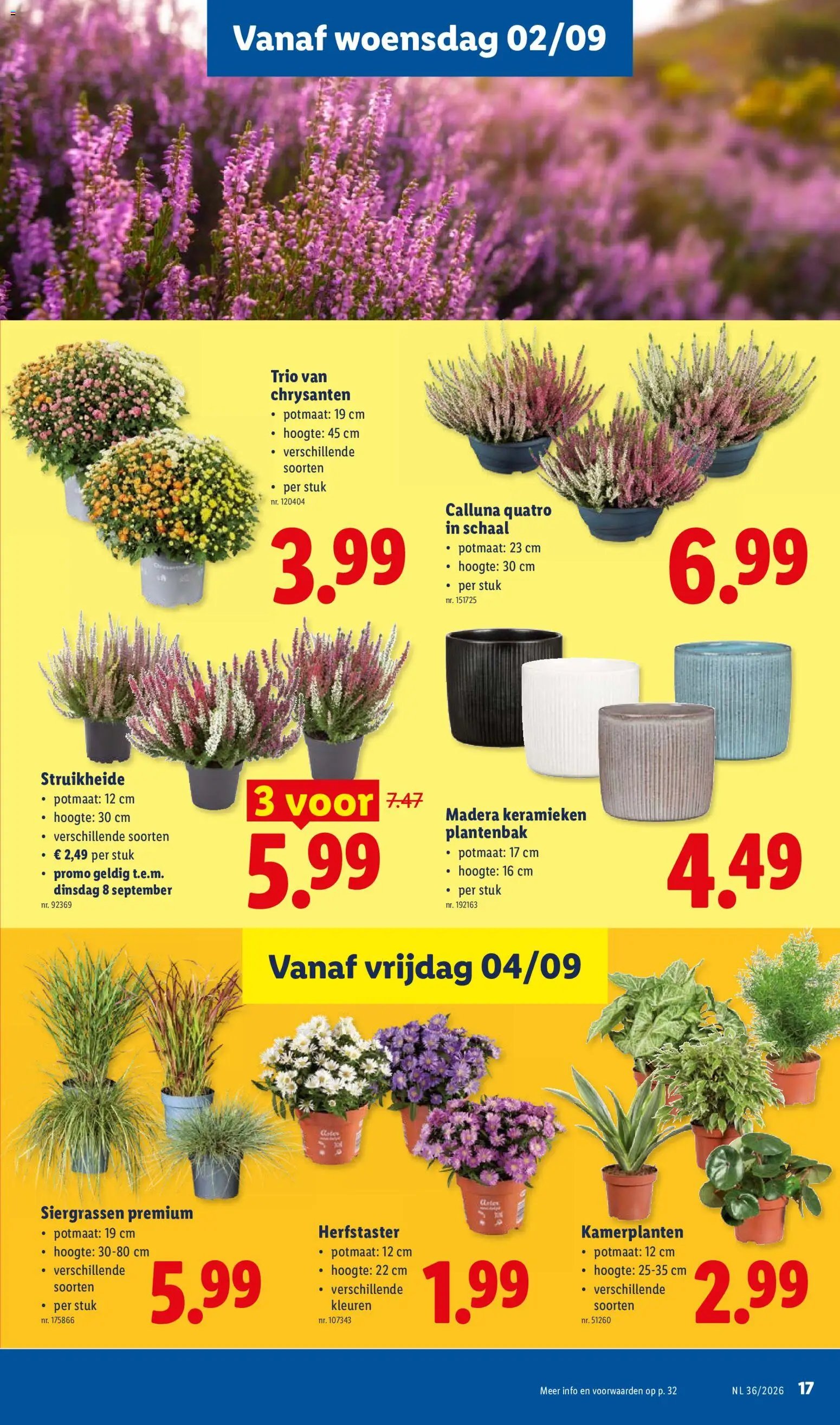 Lidl folder van 31.08.2026 Lidl Folder week 36