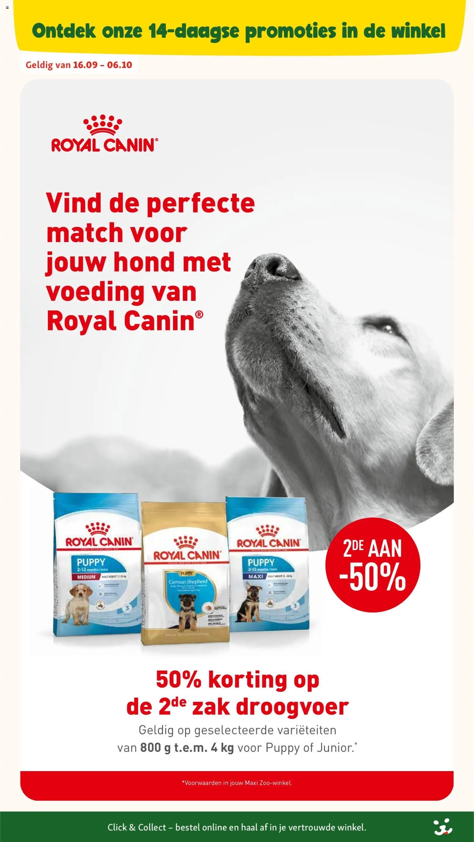 Maxi Zoo folder van 02.09.2026 Maxi Zoo Folder