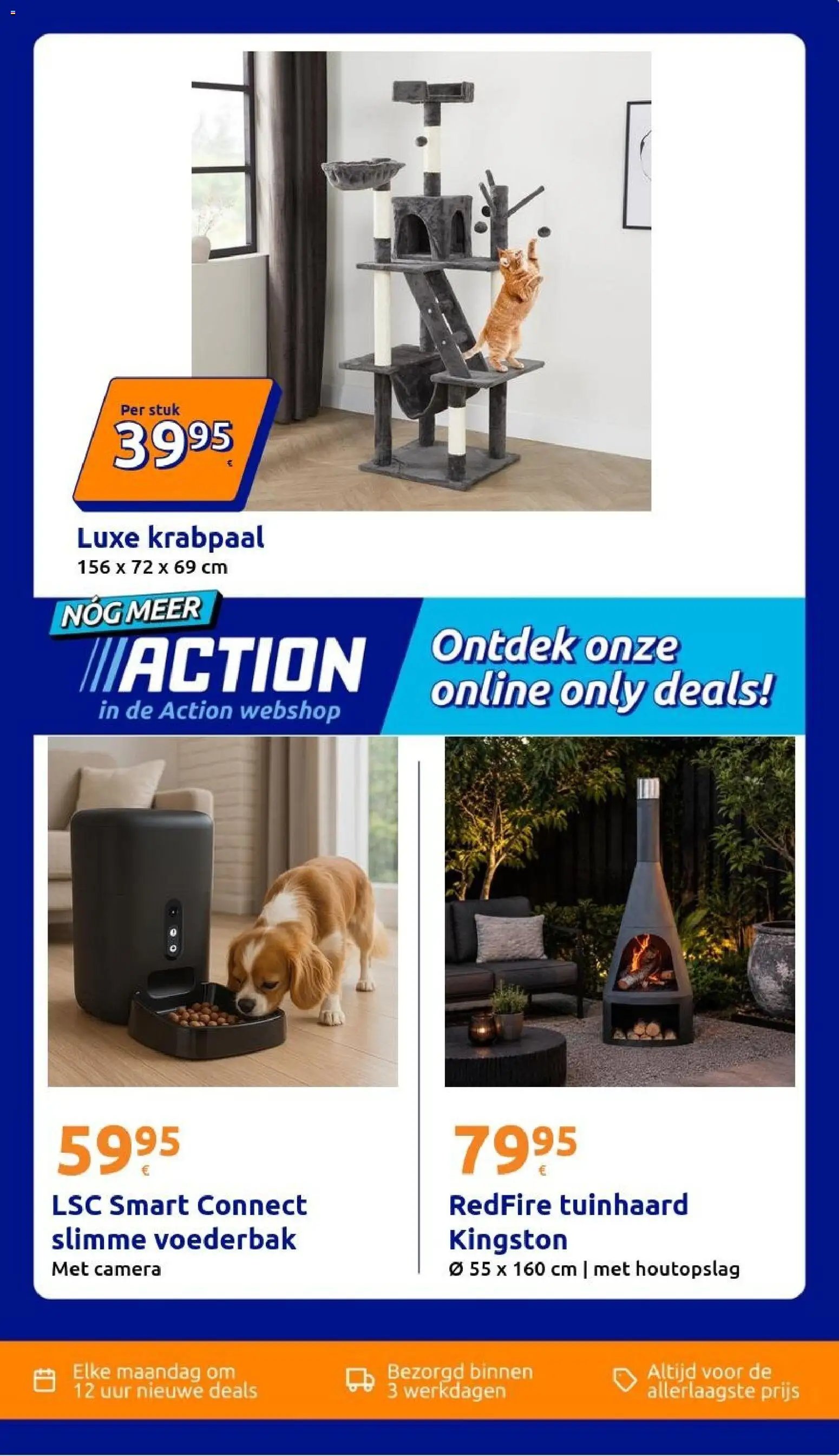 Action folder van 19.08.2026 Action folder week 34