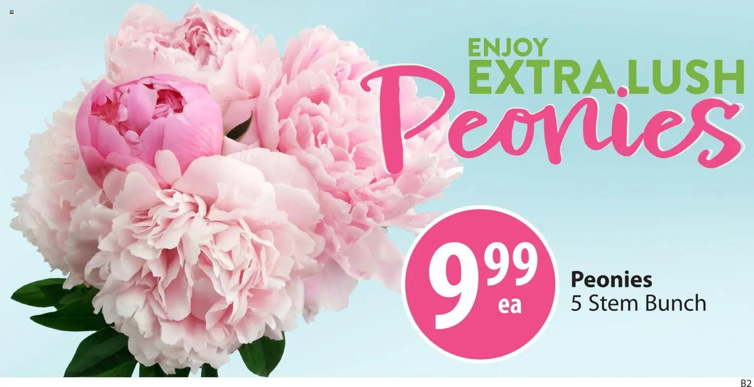 Save on foods flyer from 28.05.2026 Save on foods weekly flyer / circulaire