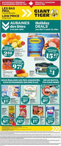 Giant Tiger flyer from 03.12.2025 Circulaire (2025-12-03 - 2025-12-09)