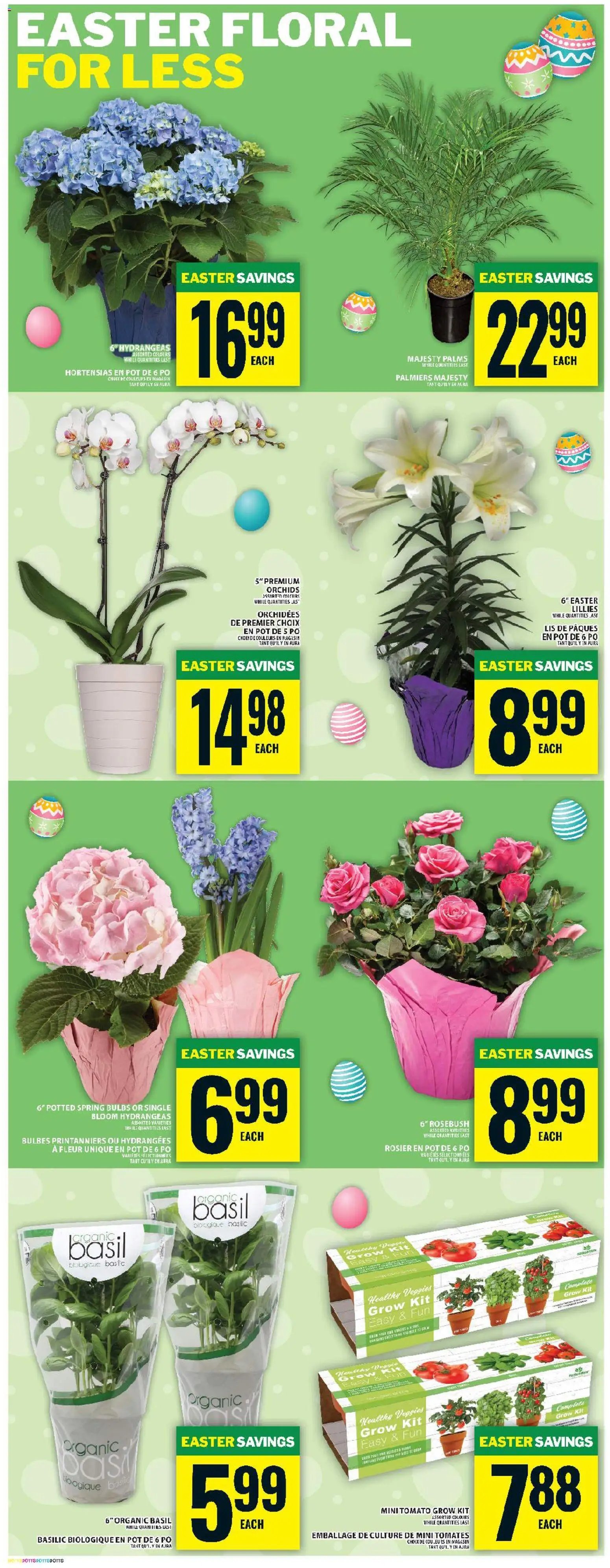 Food Basics flyer from 26.03.2026 Food Basics weekly flyer - Kanata